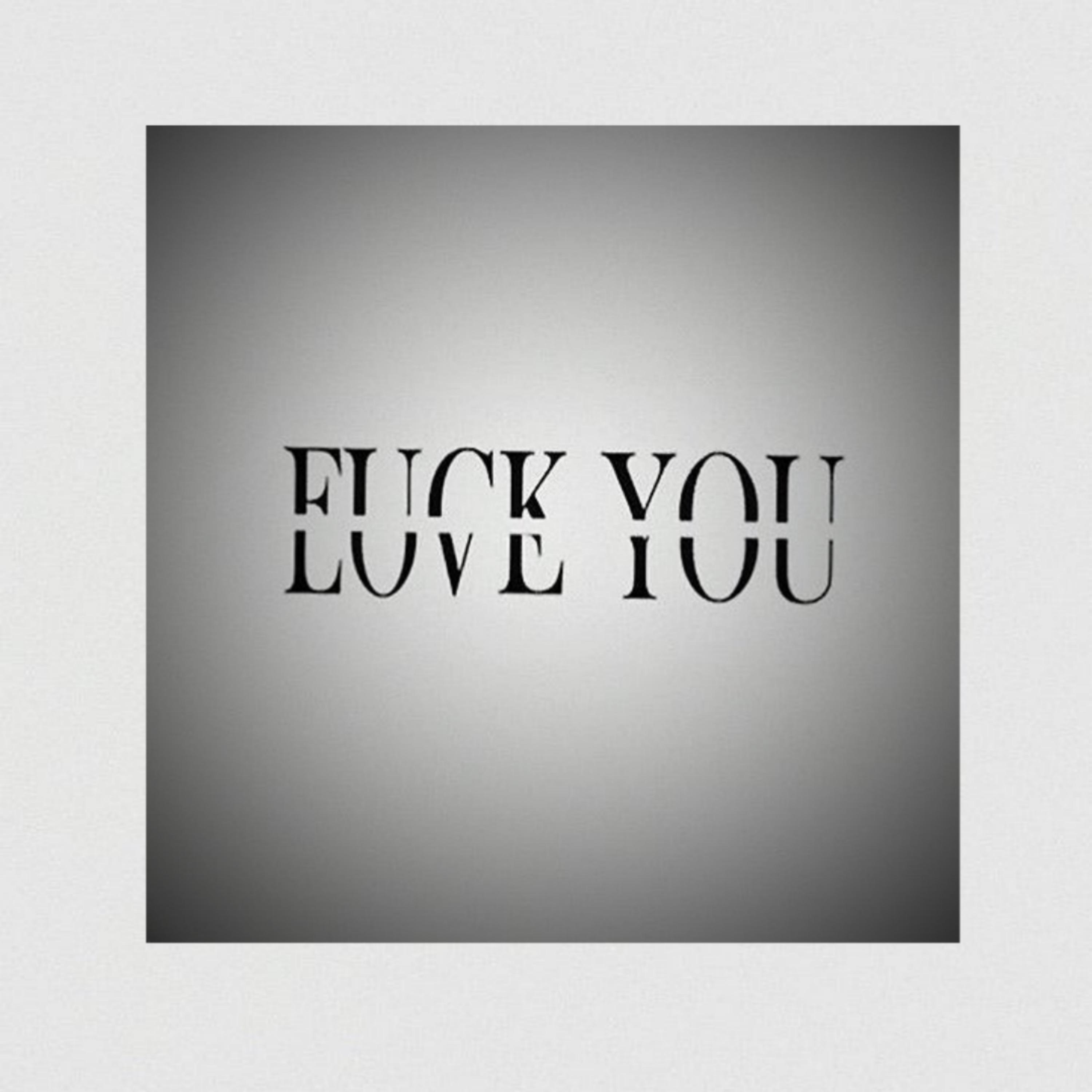 Постер альбома Fuck Love You (prod. by elzio & savant)