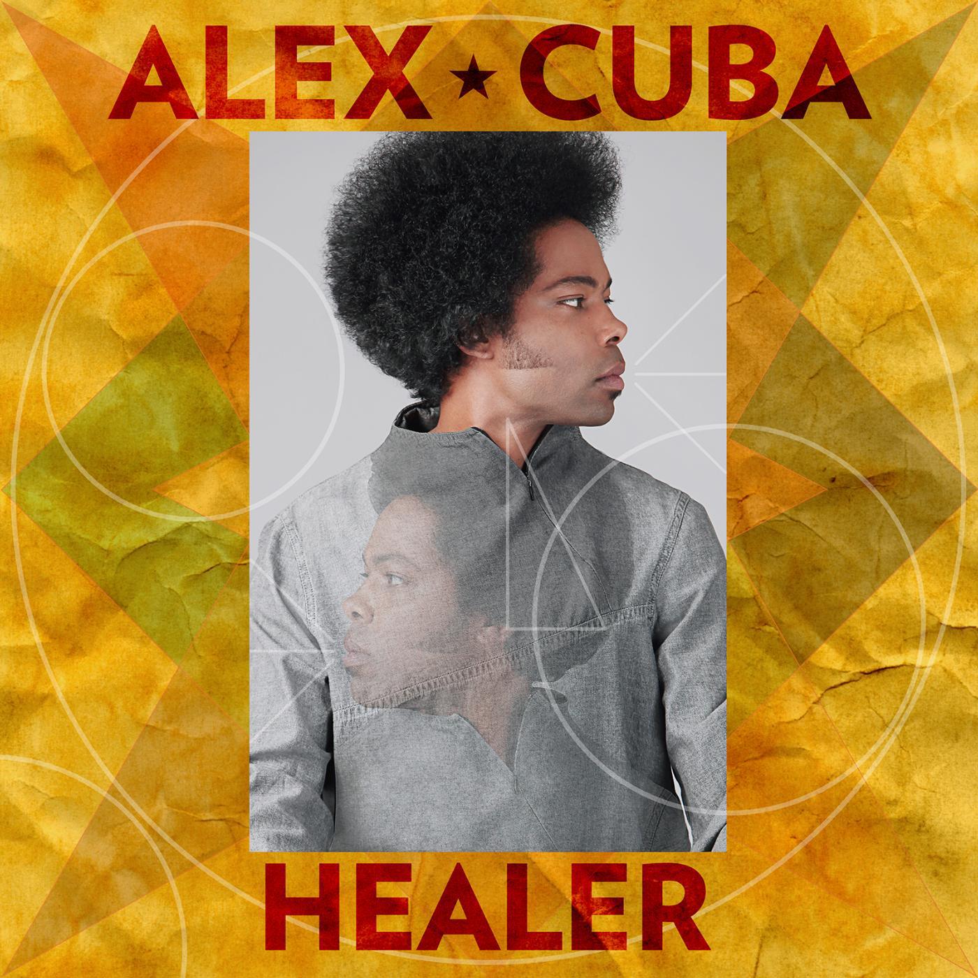 Постер альбома Healer