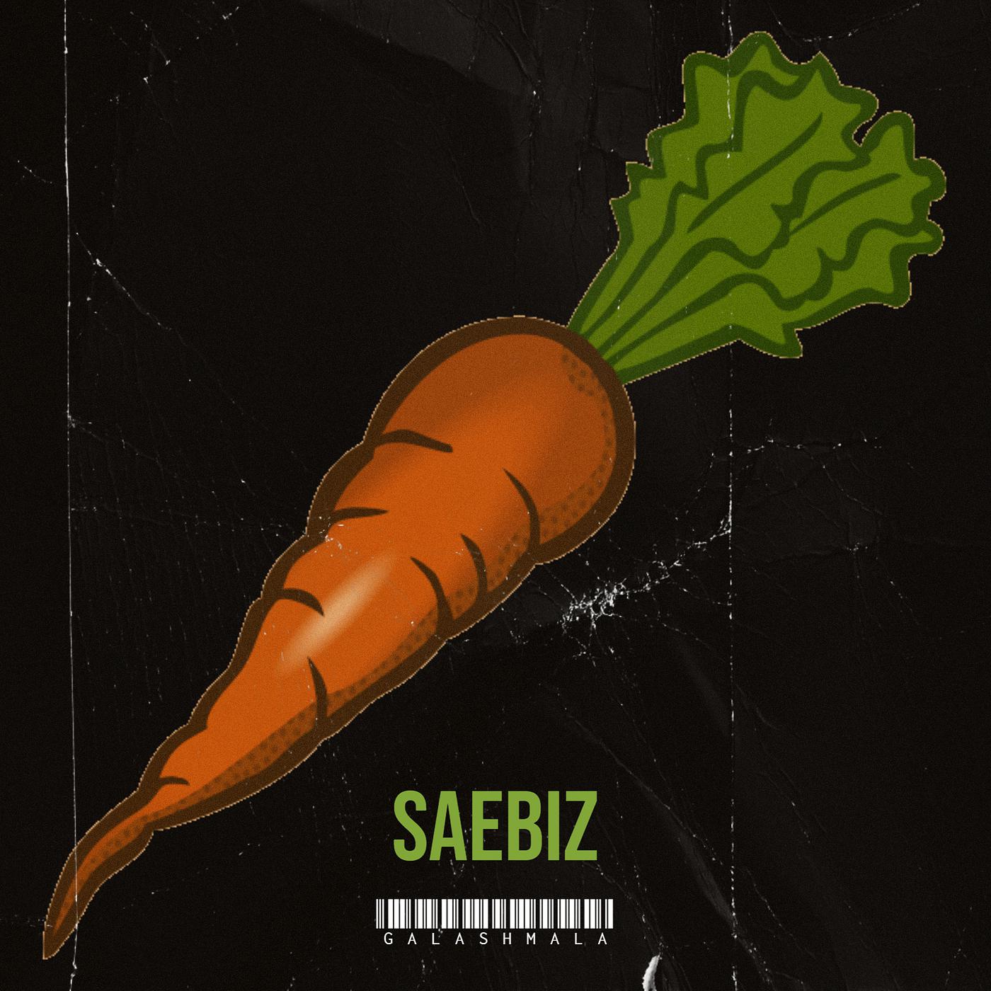 Постер альбома Saebiz