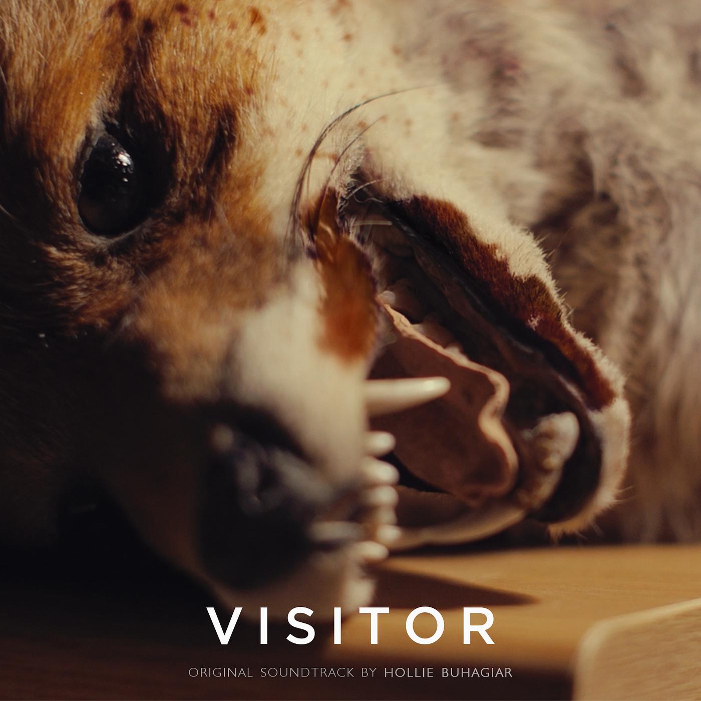 Постер альбома 'Visitor' (Original Soundtrack)