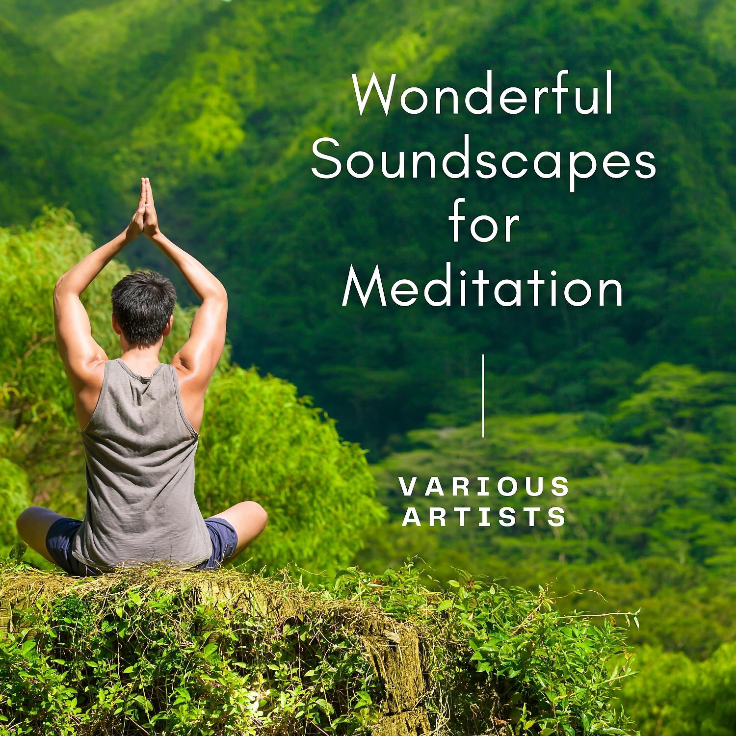 Постер альбома Wonderful Soundscapes for Meditation