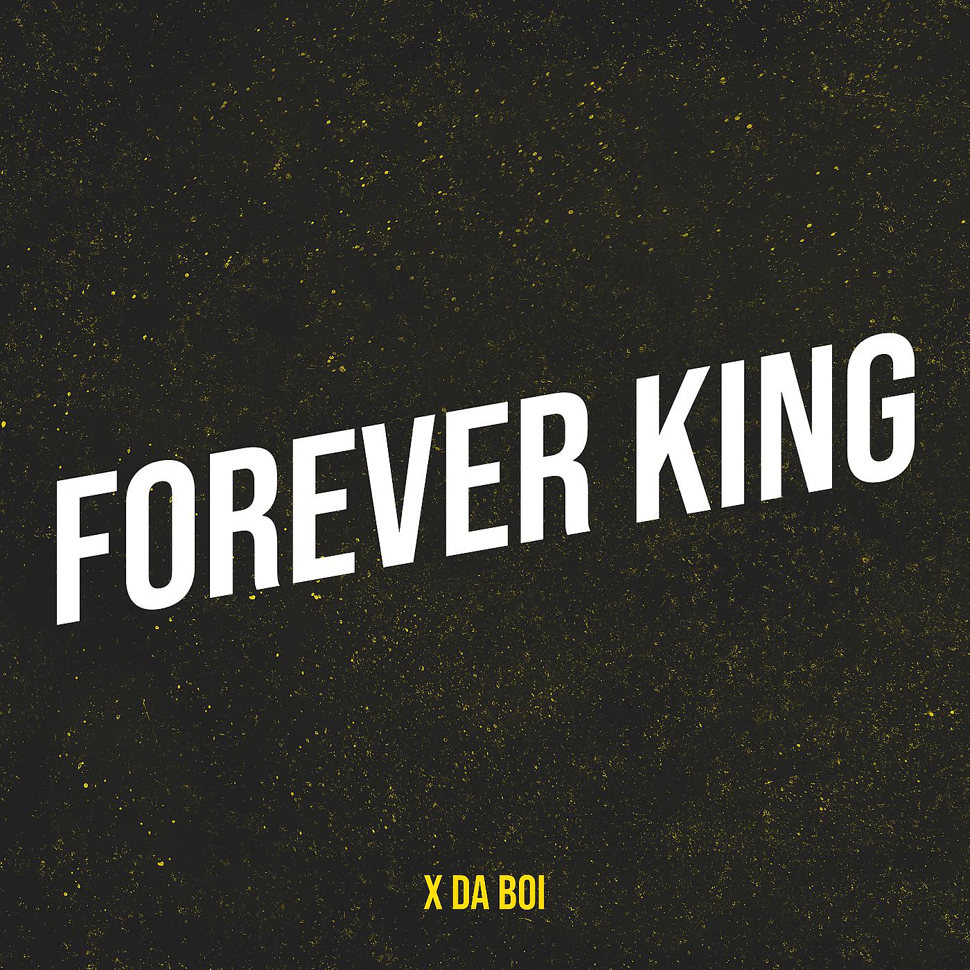 Постер альбома Forever King