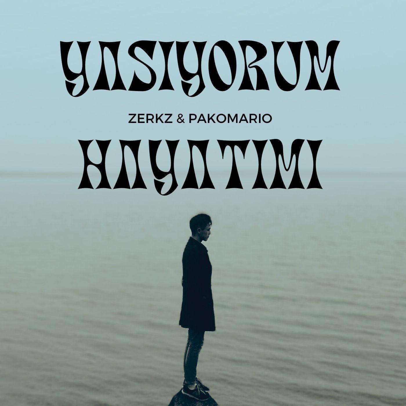 Постер альбома YAŞIYORUM HAYATIMI