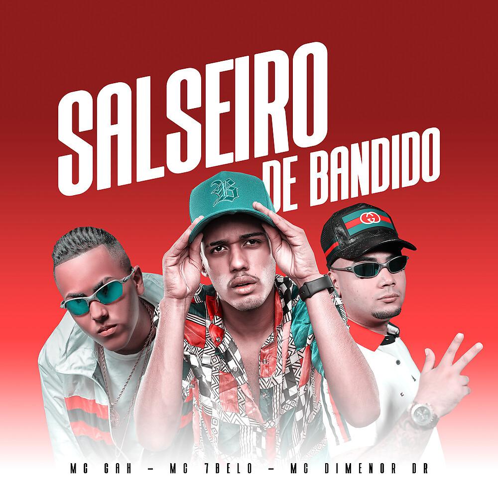 Постер альбома Salseiro de Bandido