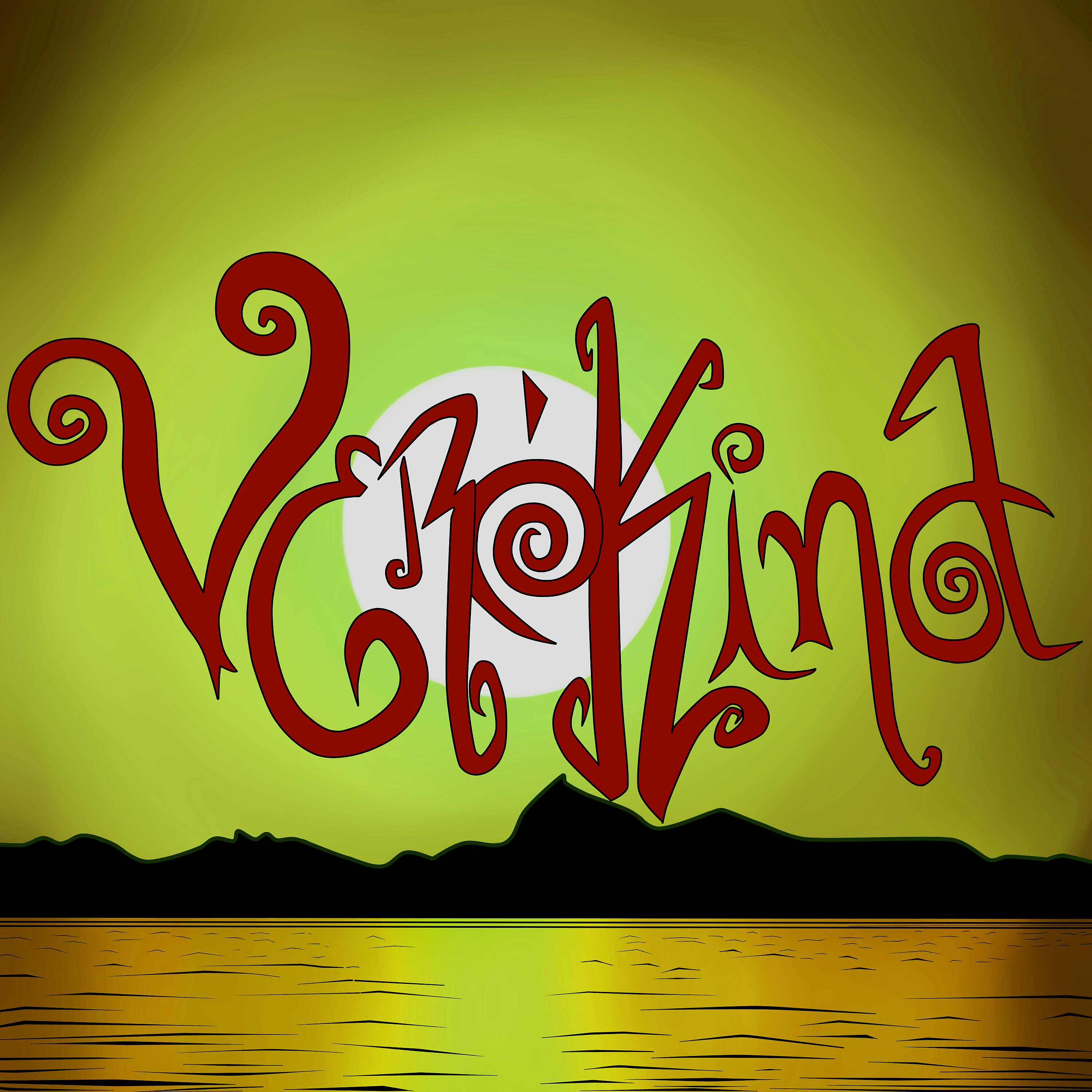 Постер альбома Verókina