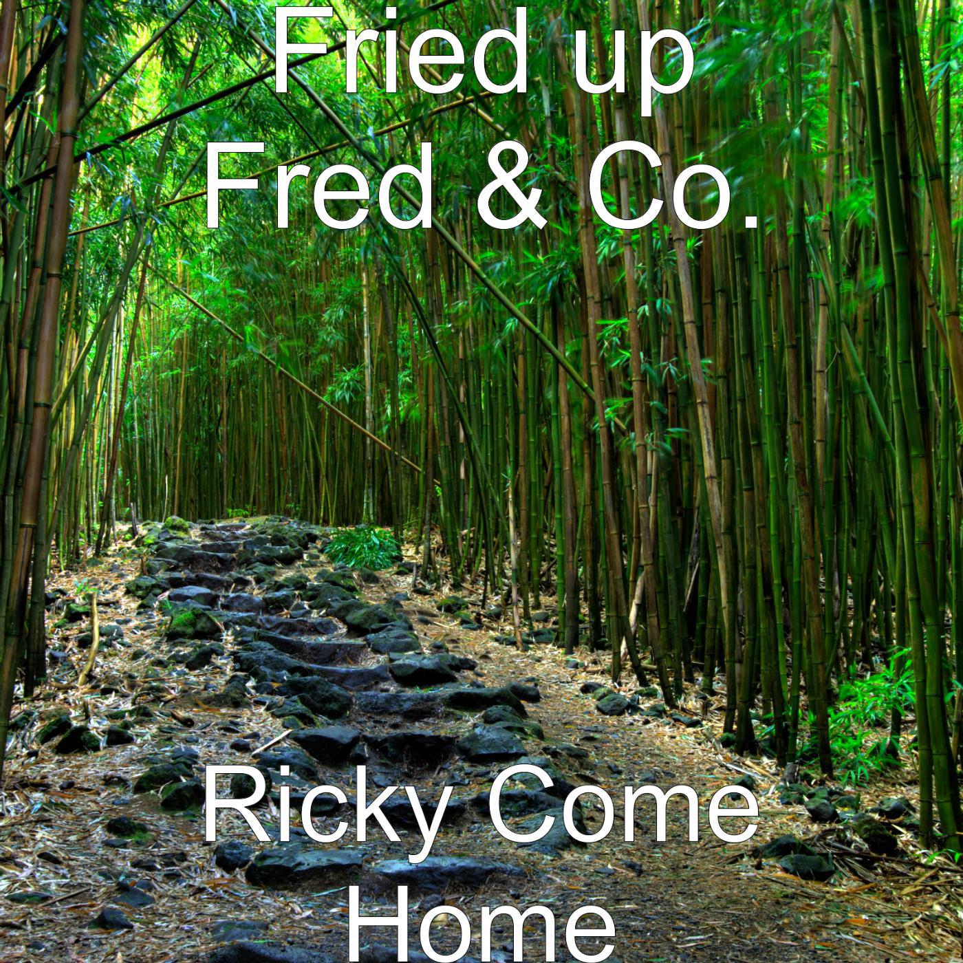 Постер альбома Ricky Come Home
