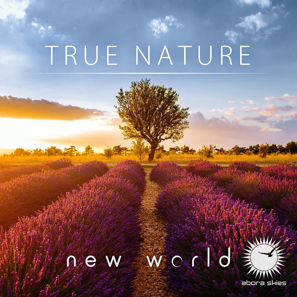Постер альбома True Nature