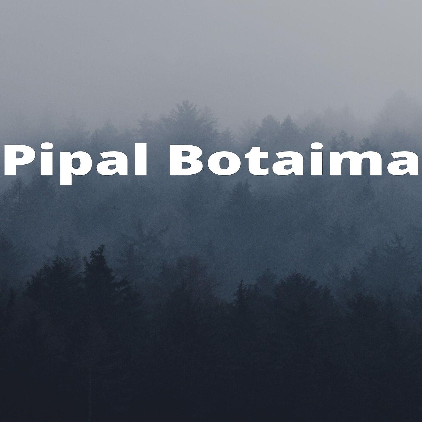Постер альбома Pipal Botaima