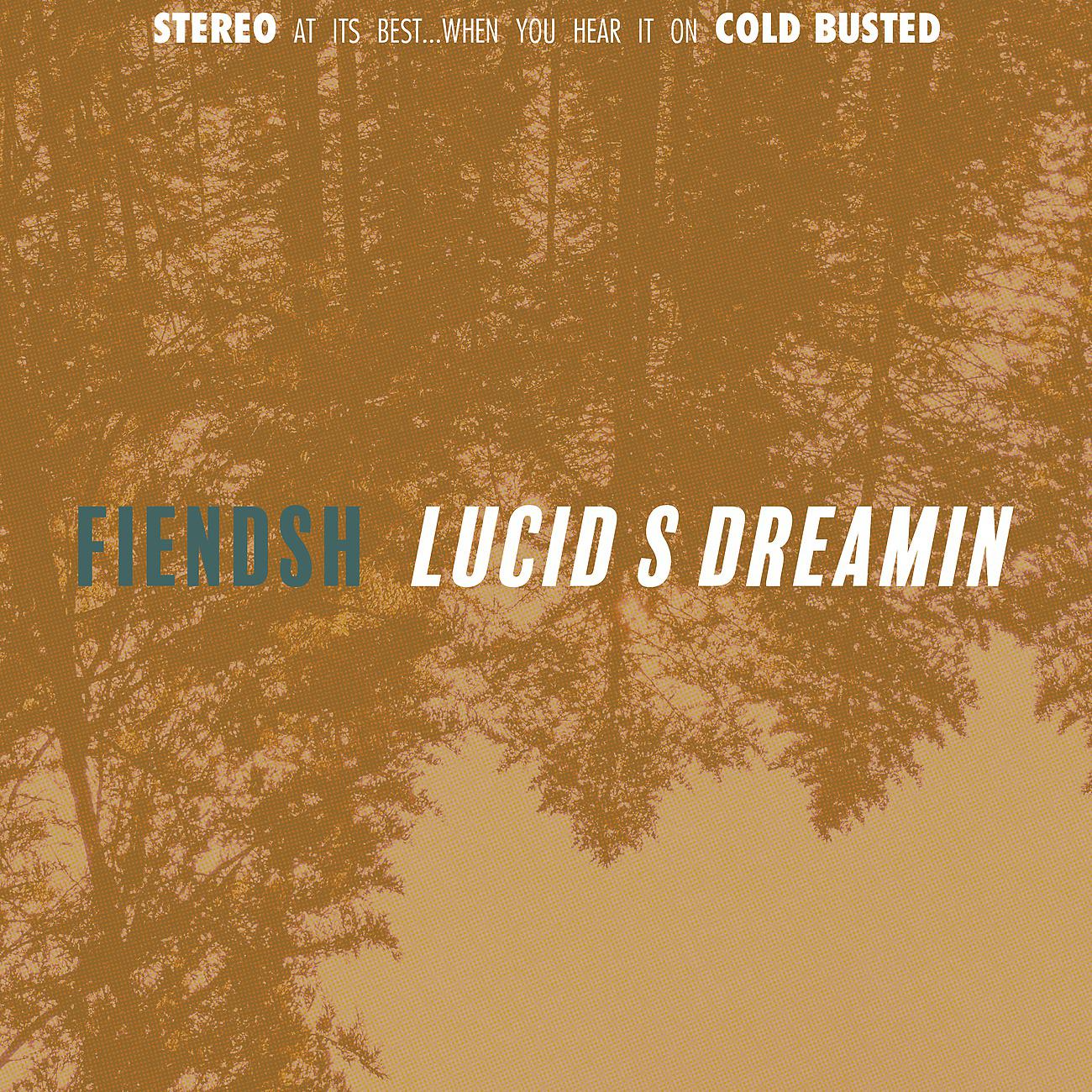 Постер альбома Lucid S Dreamin