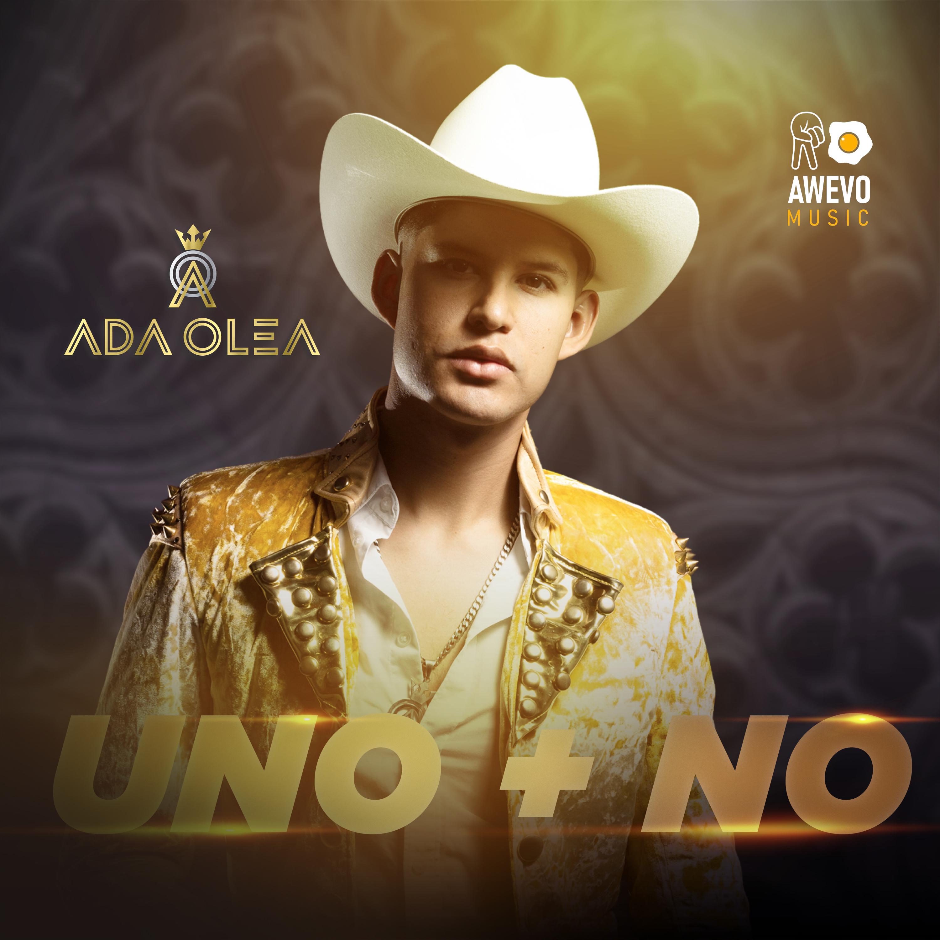 Постер альбома Uno + No