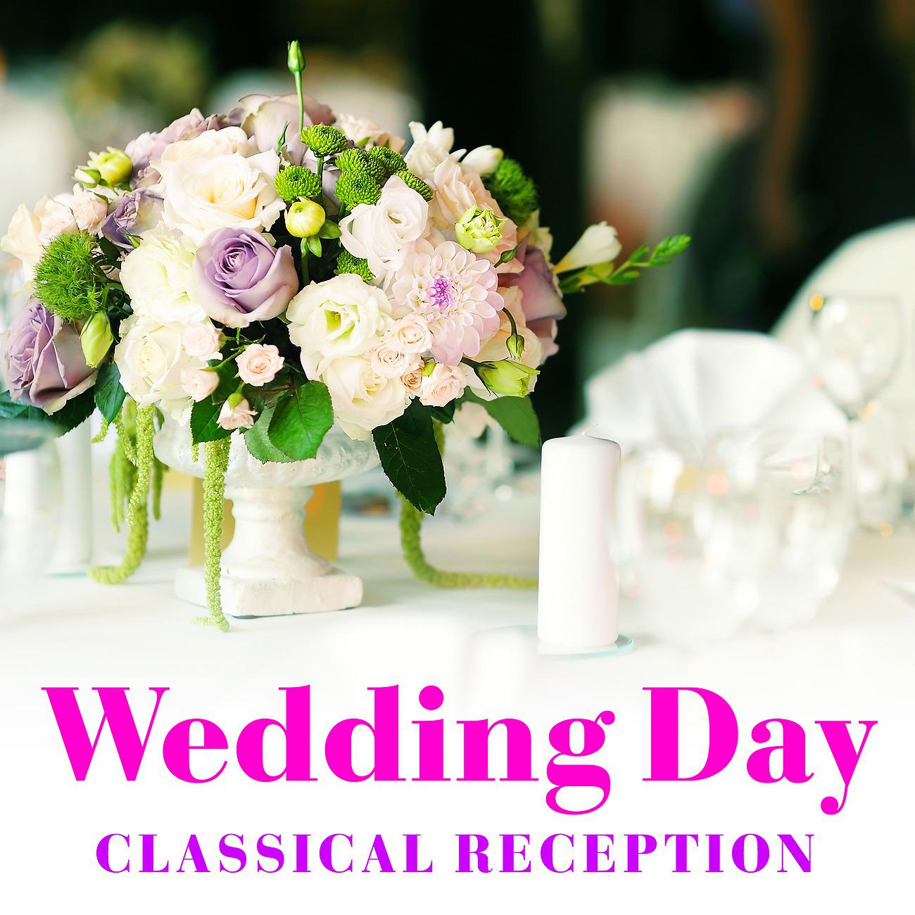 Постер альбома Wedding Day Classical Reception