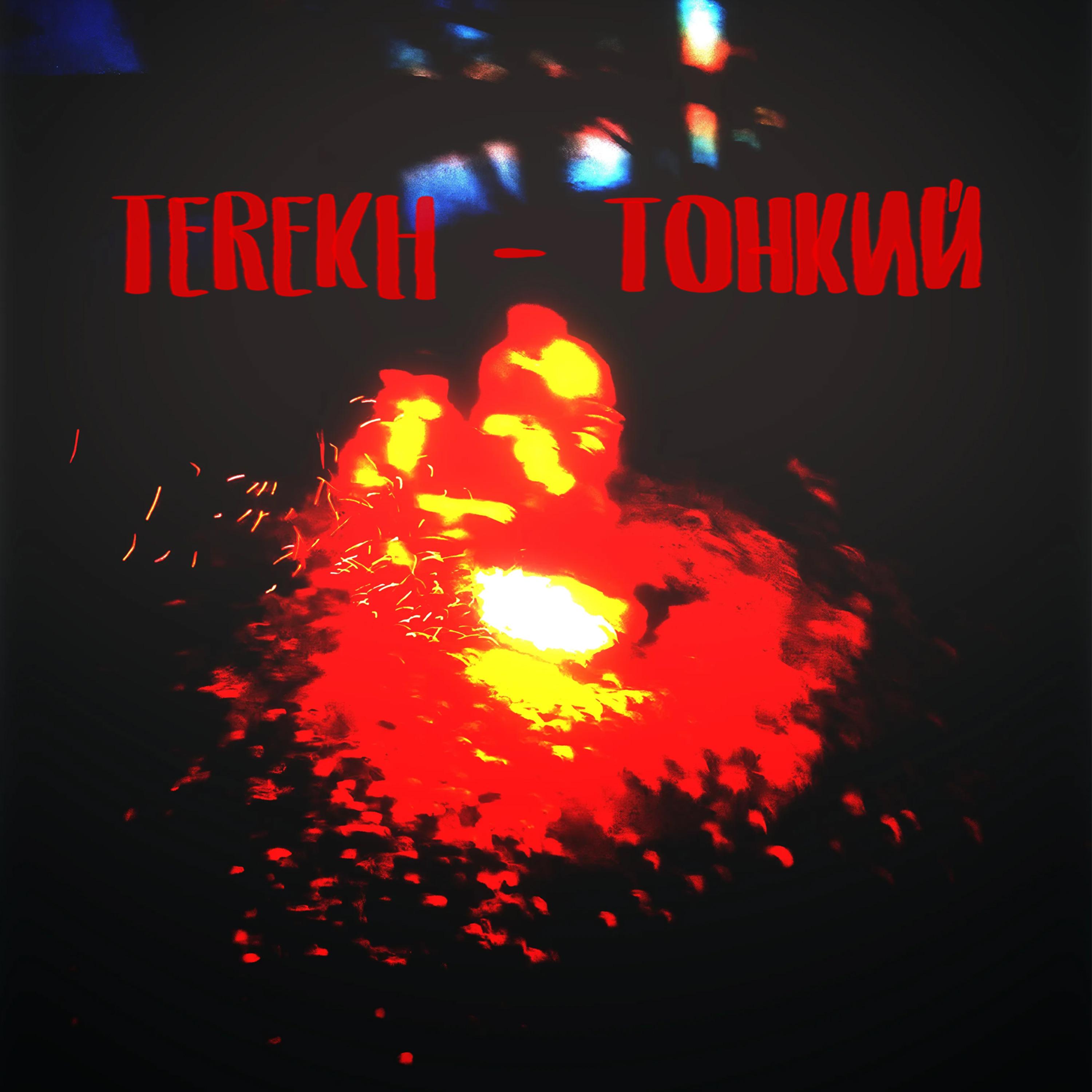 Постер альбома Тонкий