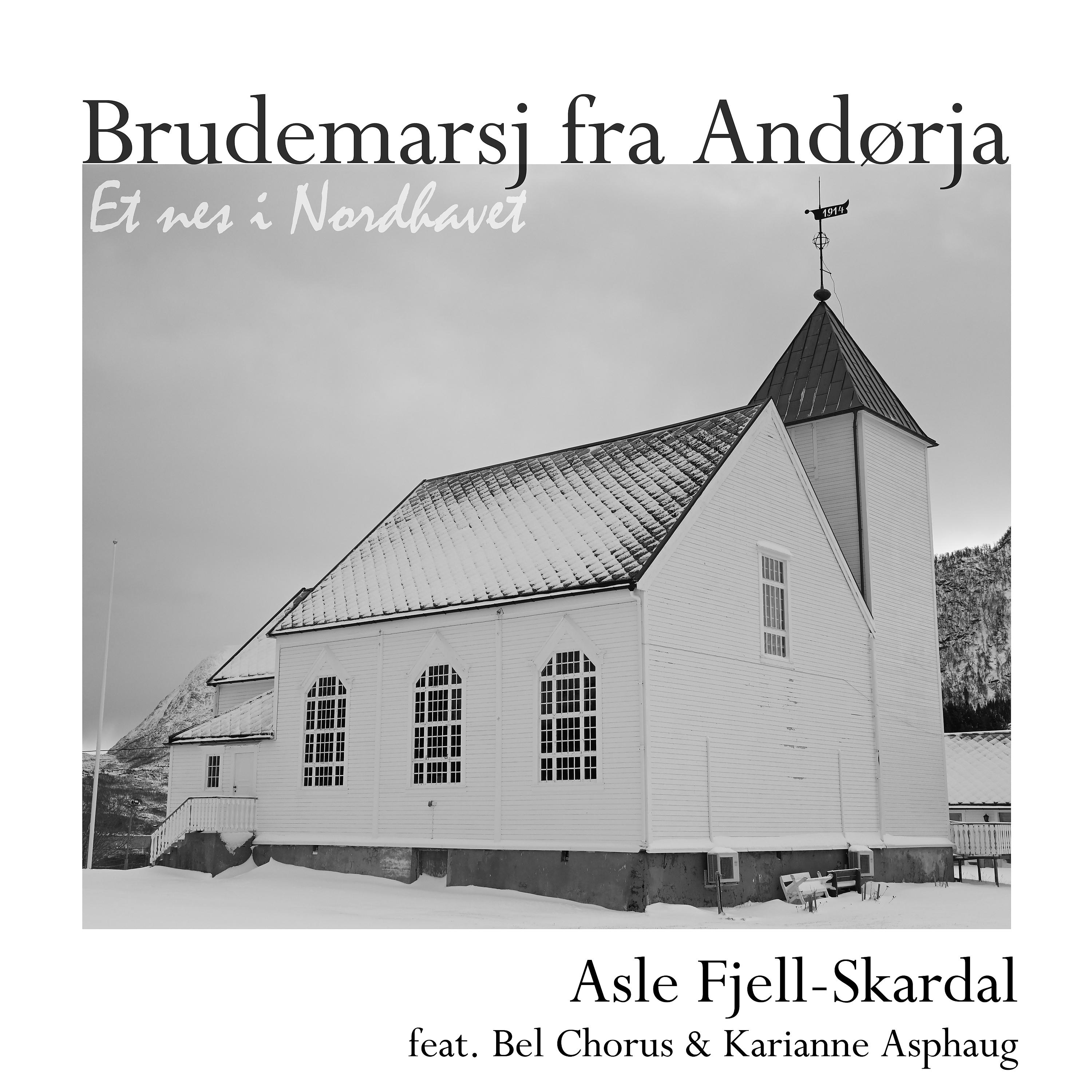 Постер альбома Brudemarsj fra Andørja
