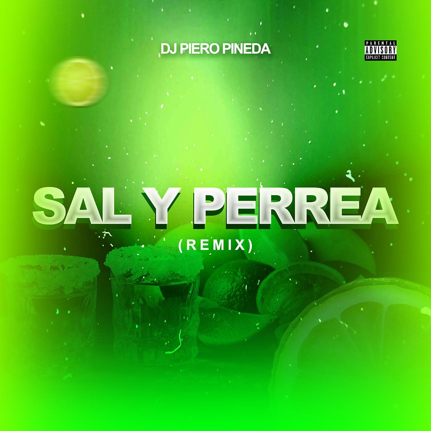 Постер альбома Sal Y Perrea (Remix)