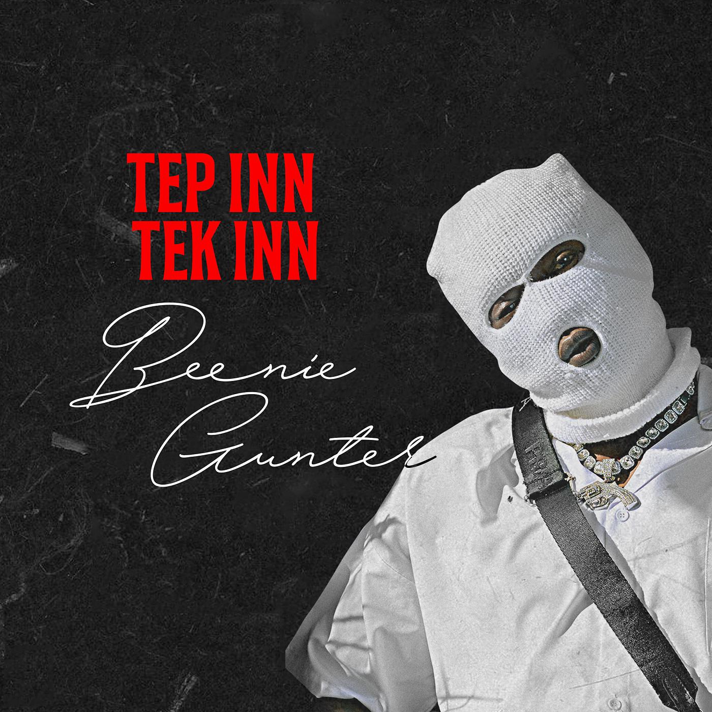Постер альбома Tep Inn Tek Inn