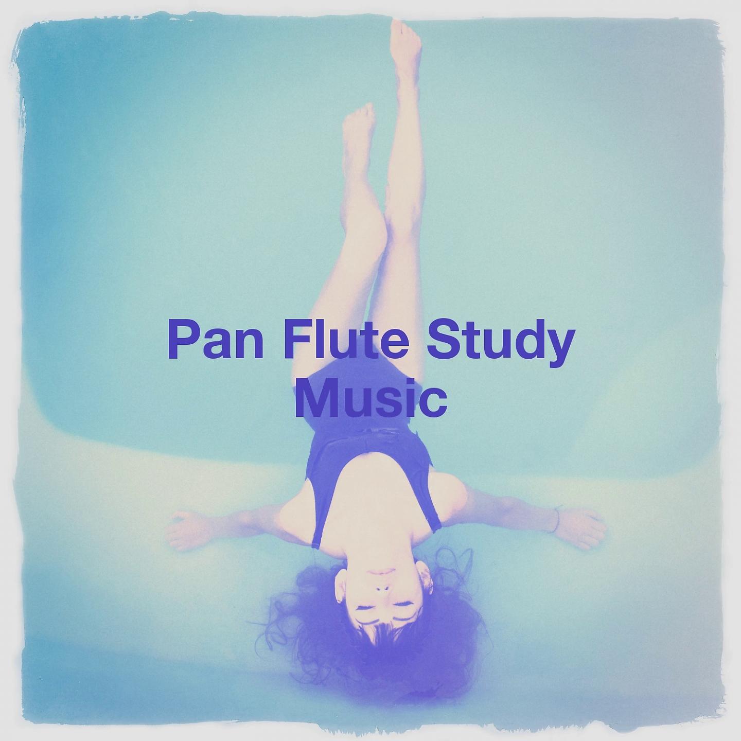Постер альбома Pan Flute Study Music