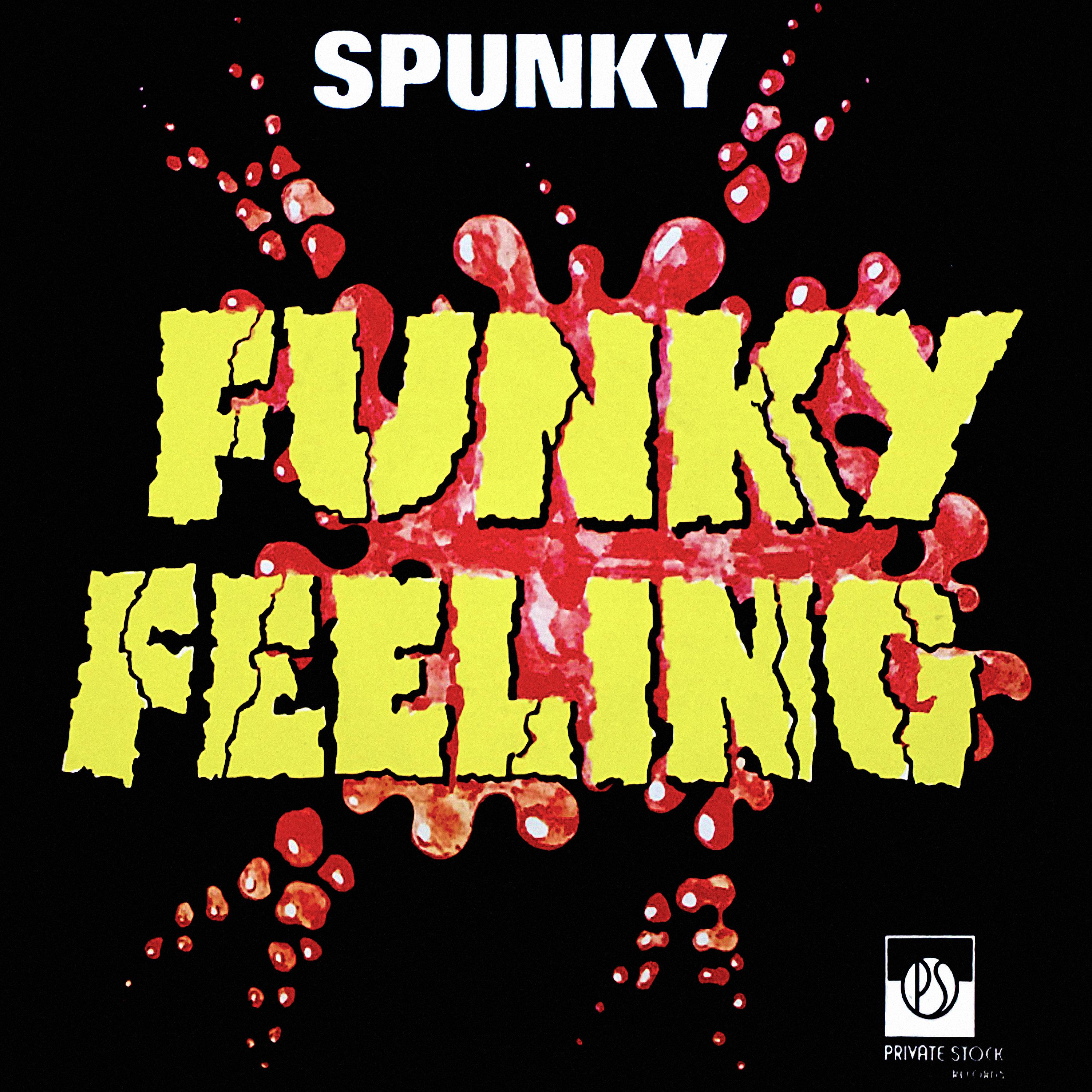 Постер альбома Funky Feeling