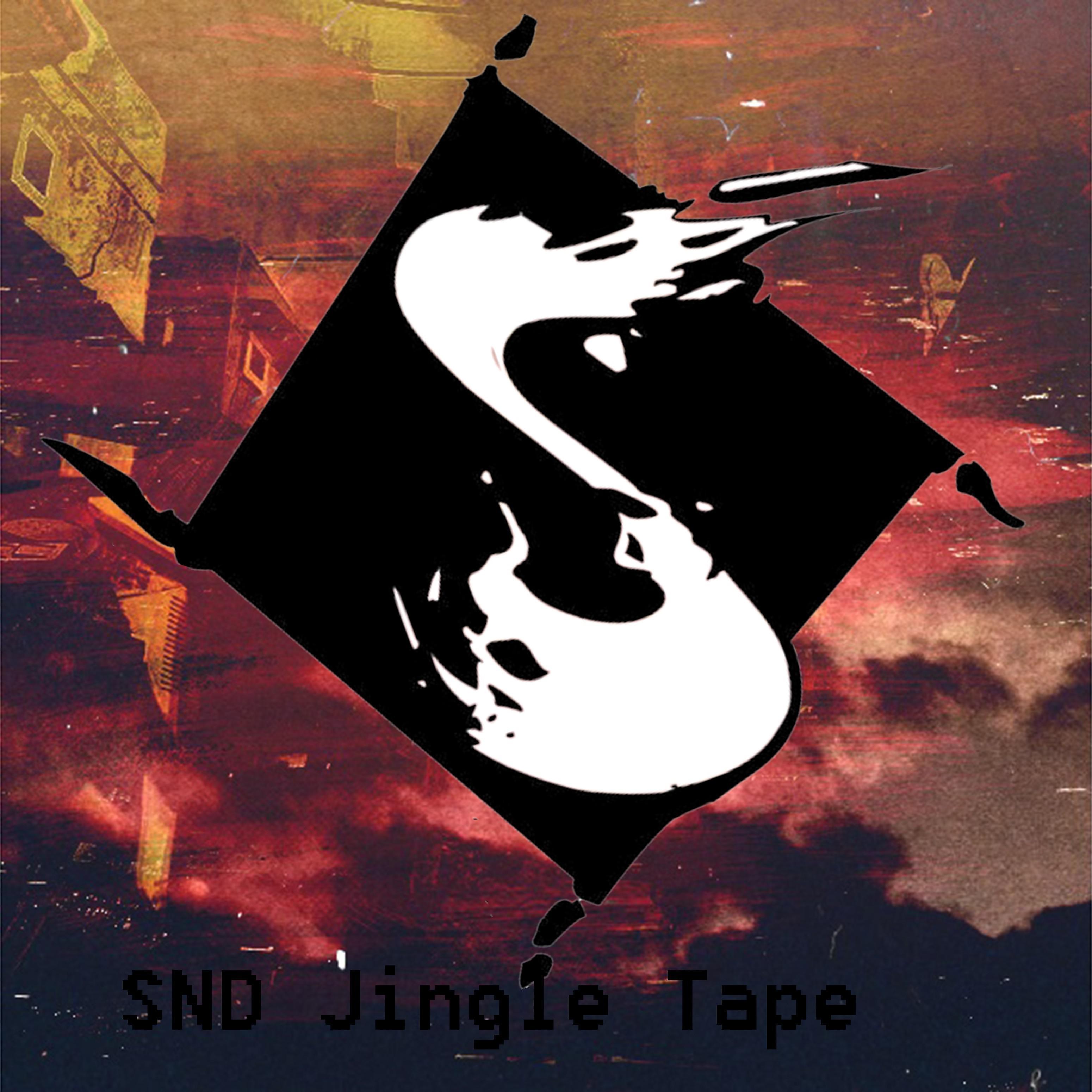 Постер альбома S N D Jingle Tape
