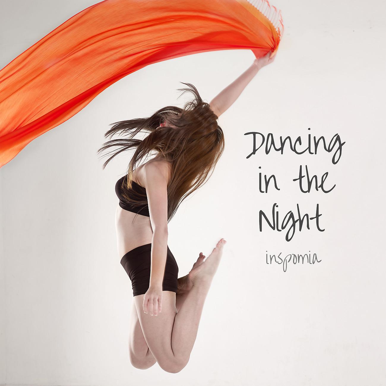 Постер альбома Dancing in the Night