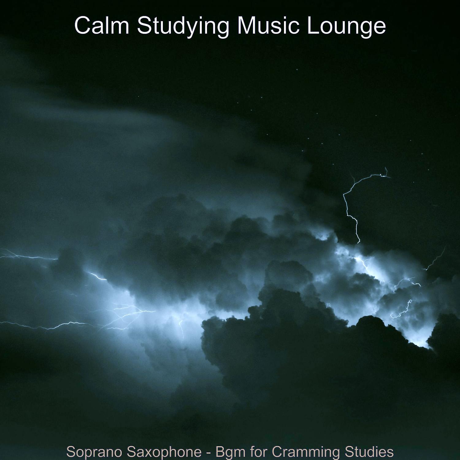 Постер альбома Soprano Saxophone - Bgm for Cramming Studies