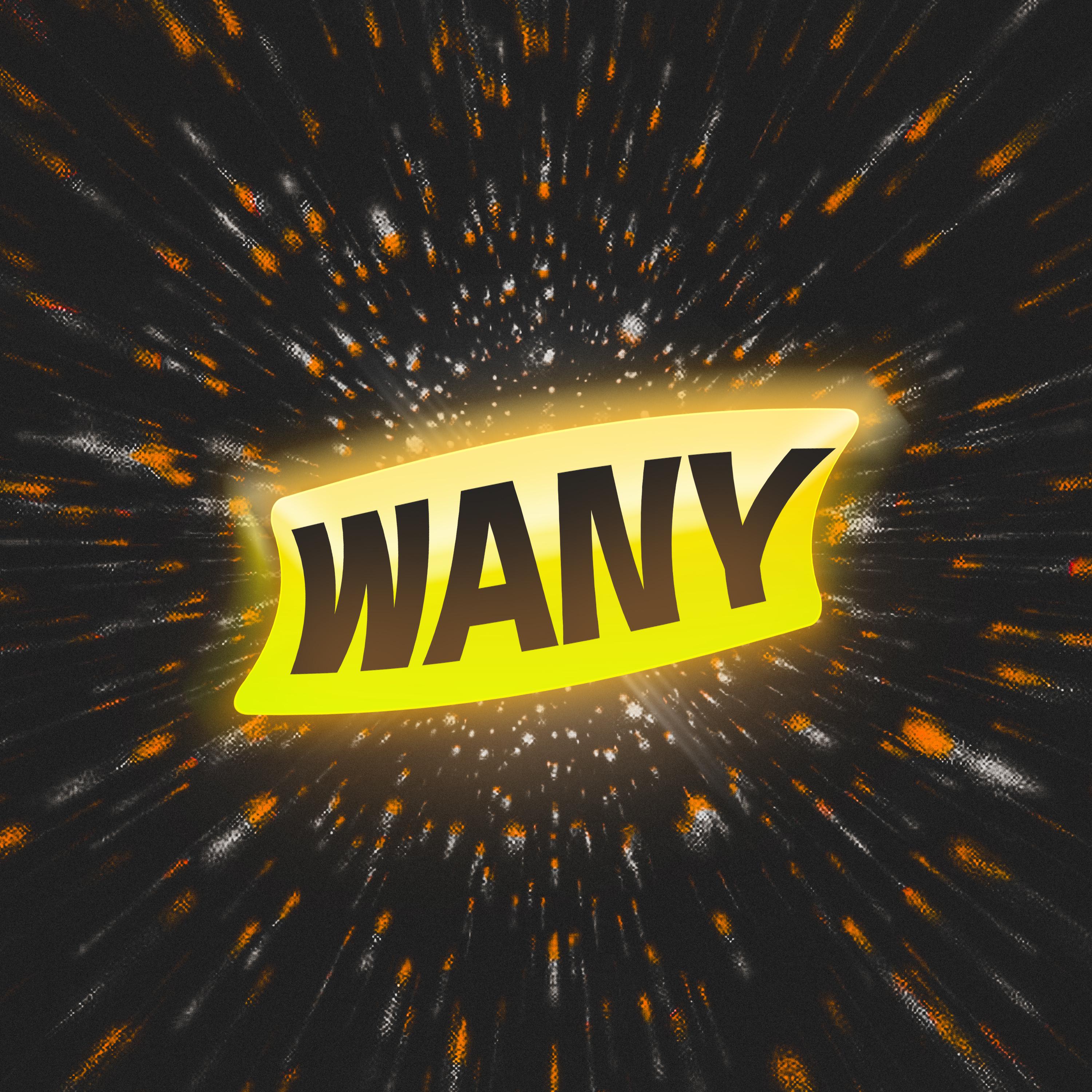 Постер альбома Wany