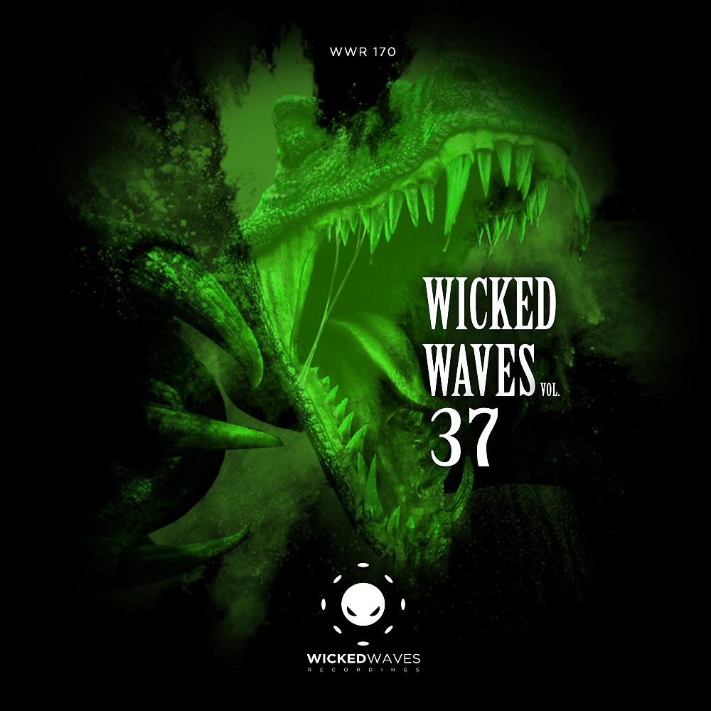 Постер альбома Wicked Waves, Vol. 37