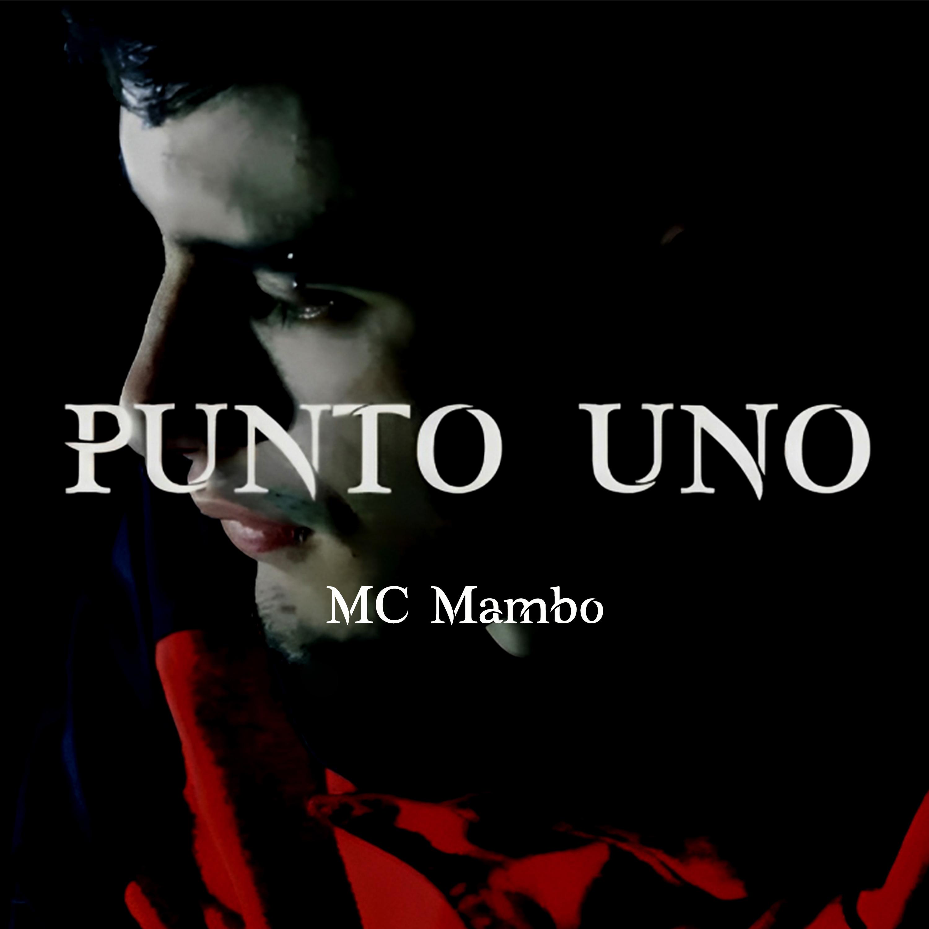 Постер альбома Punto Uno