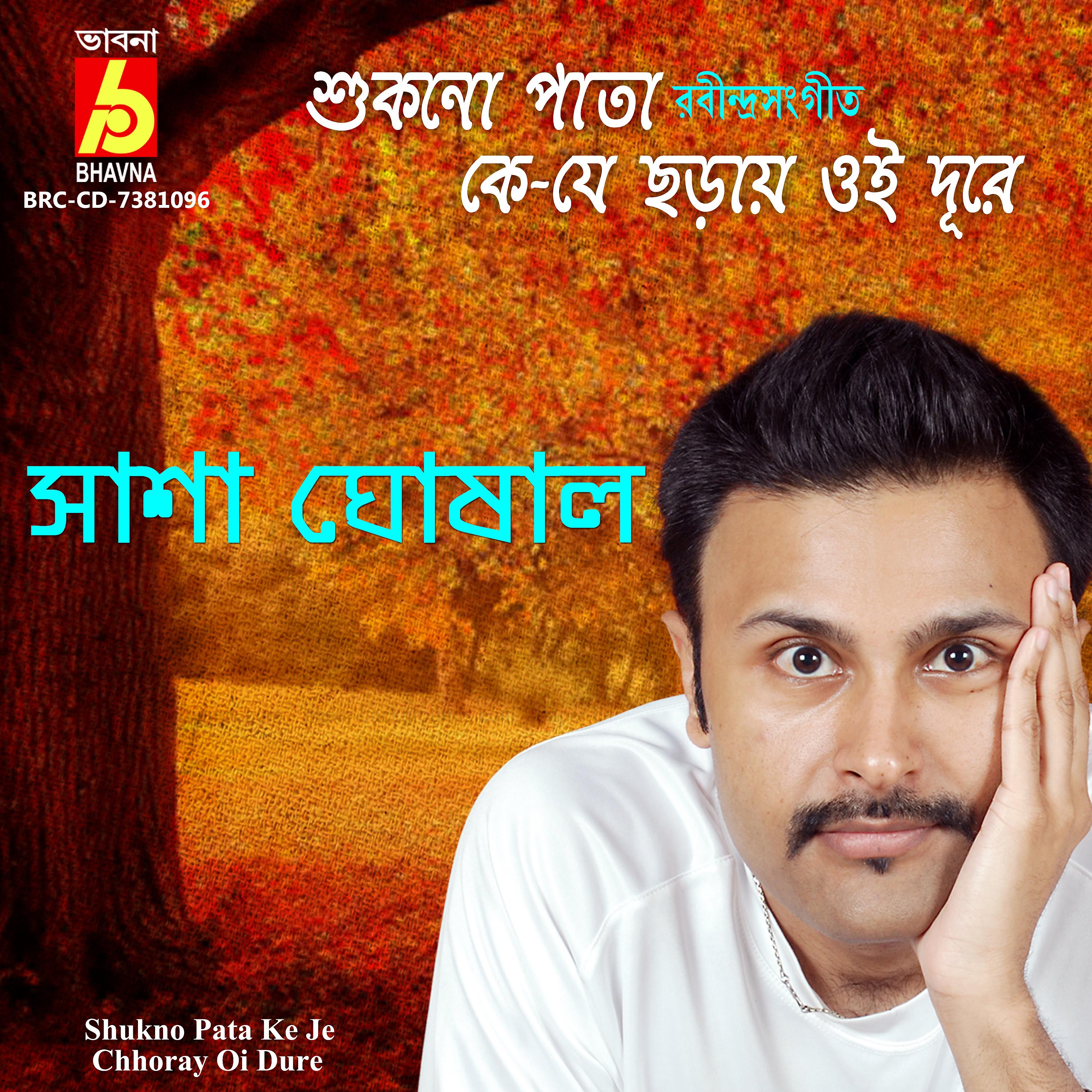 Постер альбома Shukno Pata Ke Je Chhoray Oi Dure
