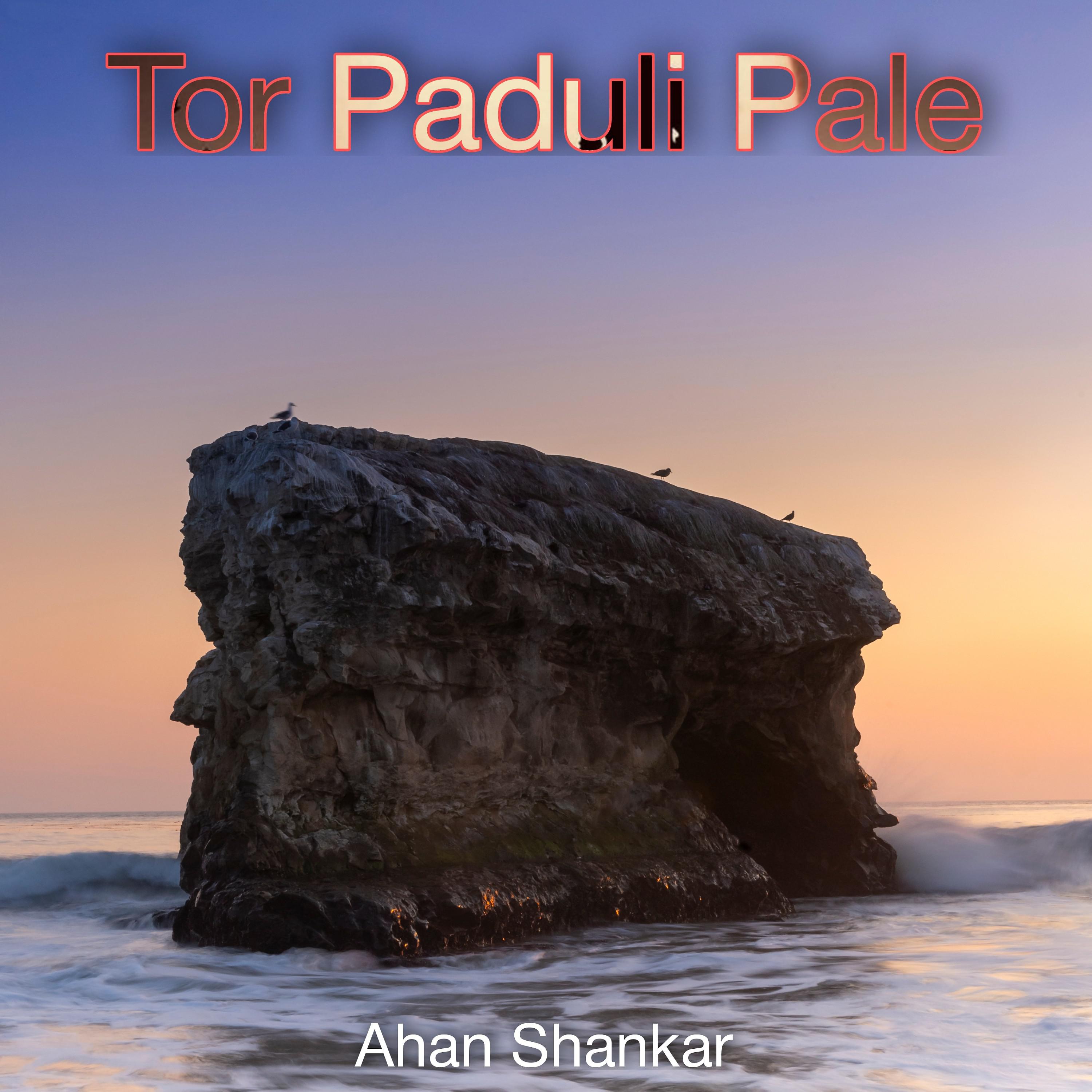 Постер альбома Tor Paduli Pale