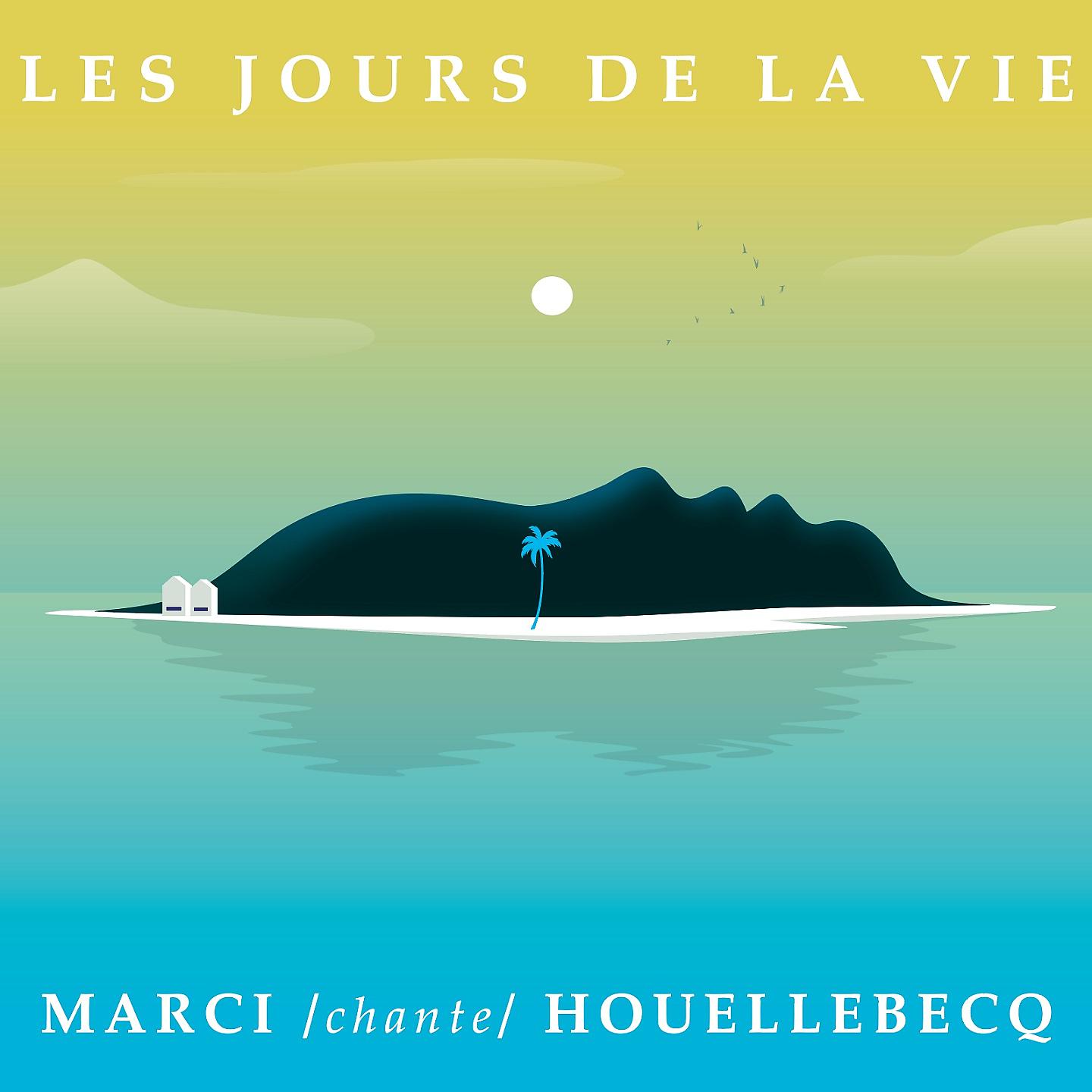 Постер альбома Les jours de la vie