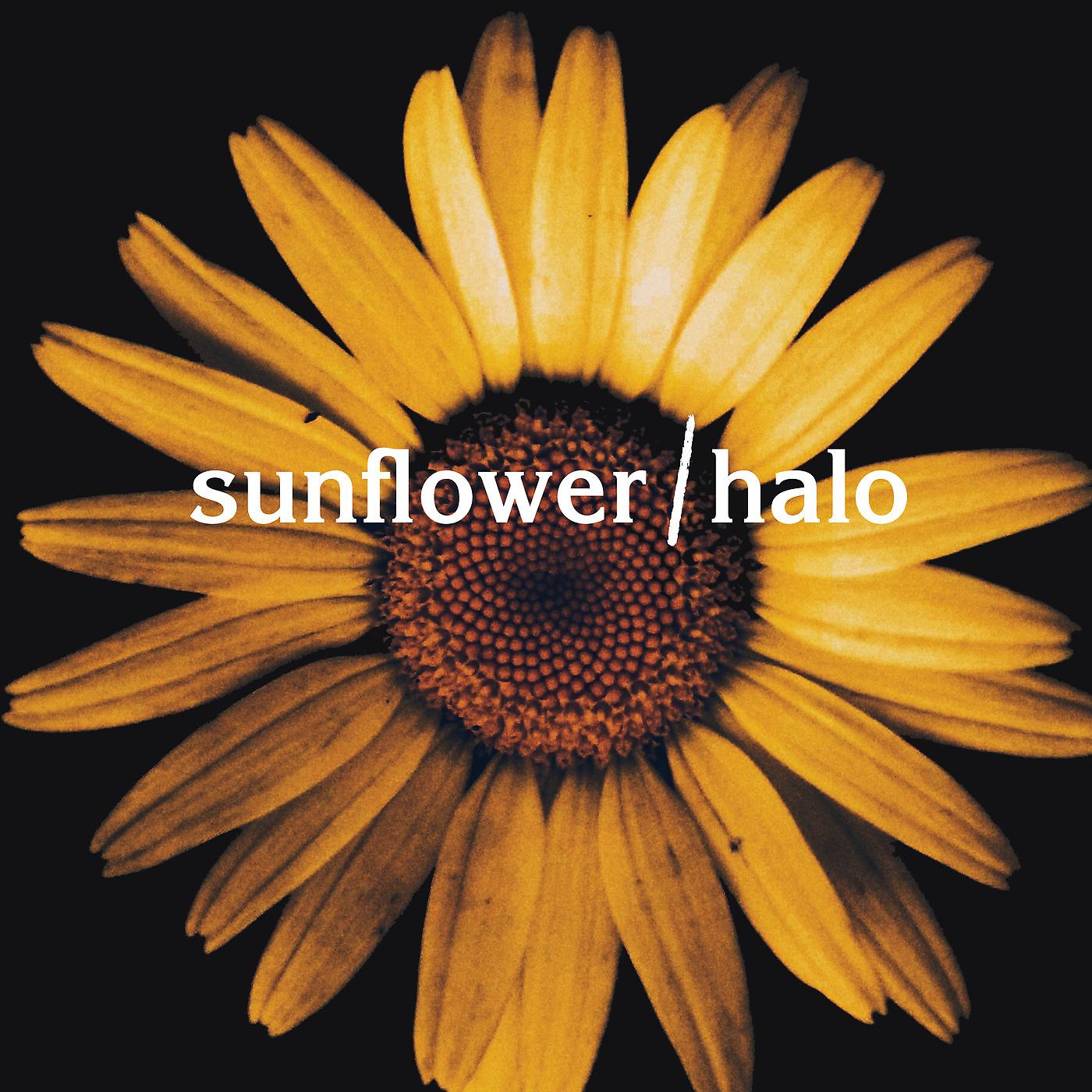 Постер альбома Sunflower / Halo (Mashup)