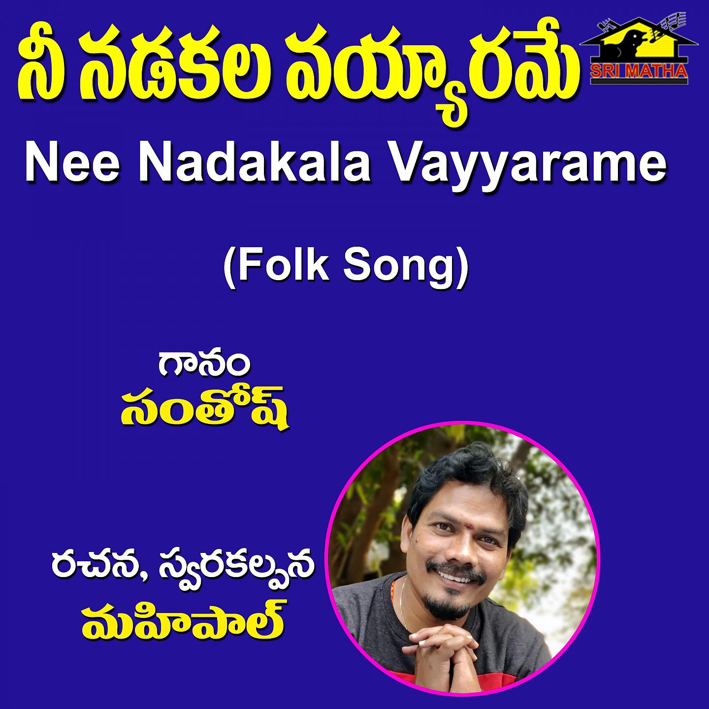 Постер альбома Nee Nadakala Vayyarame
