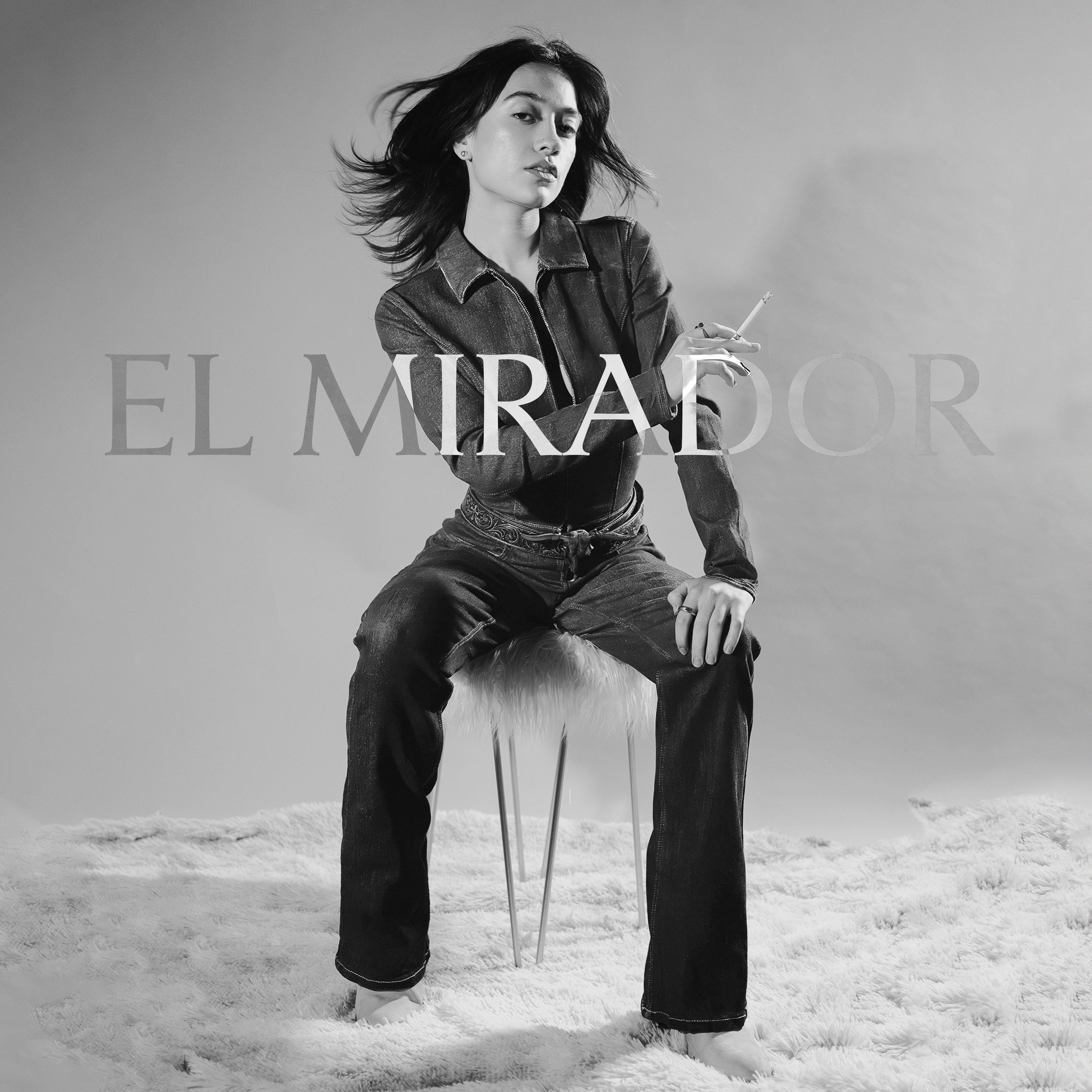 Постер альбома El Mirador