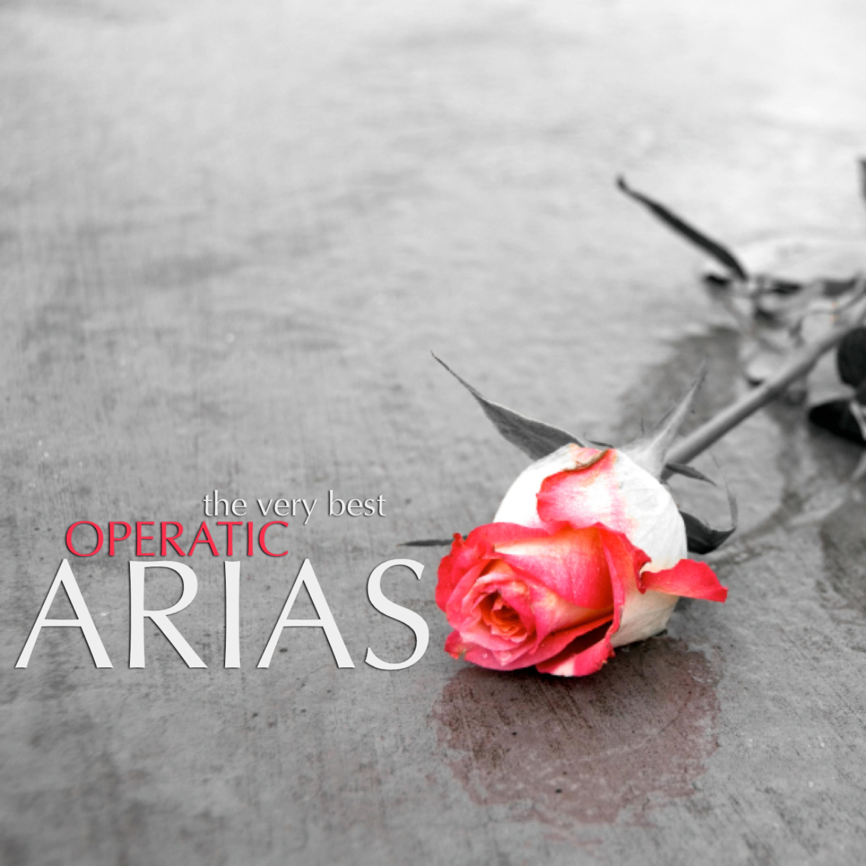 Постер альбома The Very Best Operatic Arias