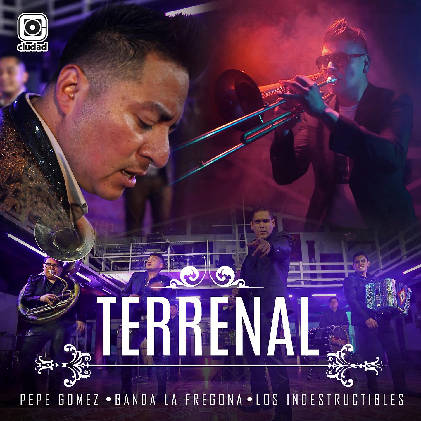 Постер альбома Terrenal