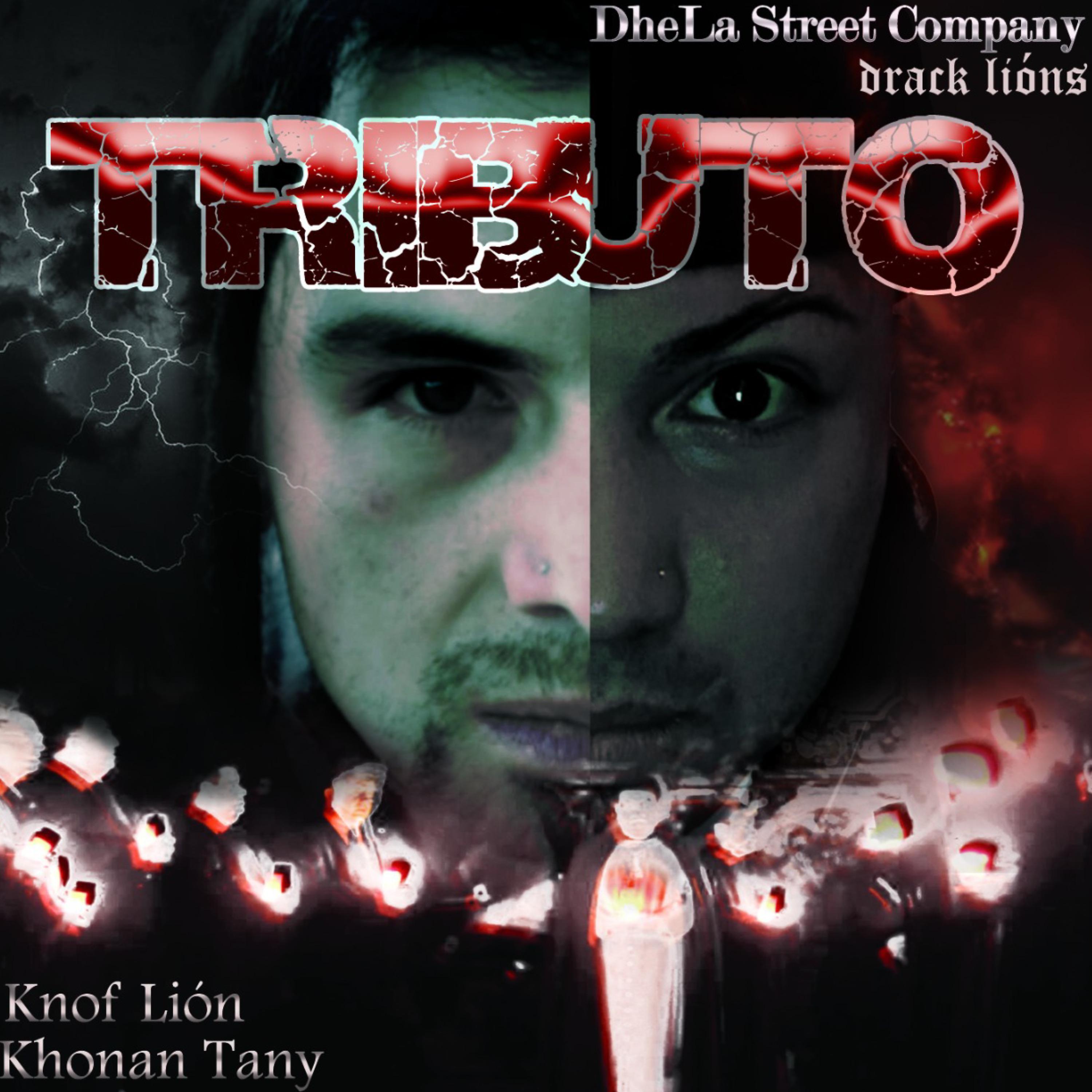 Постер альбома Tributo (Darck Lions)