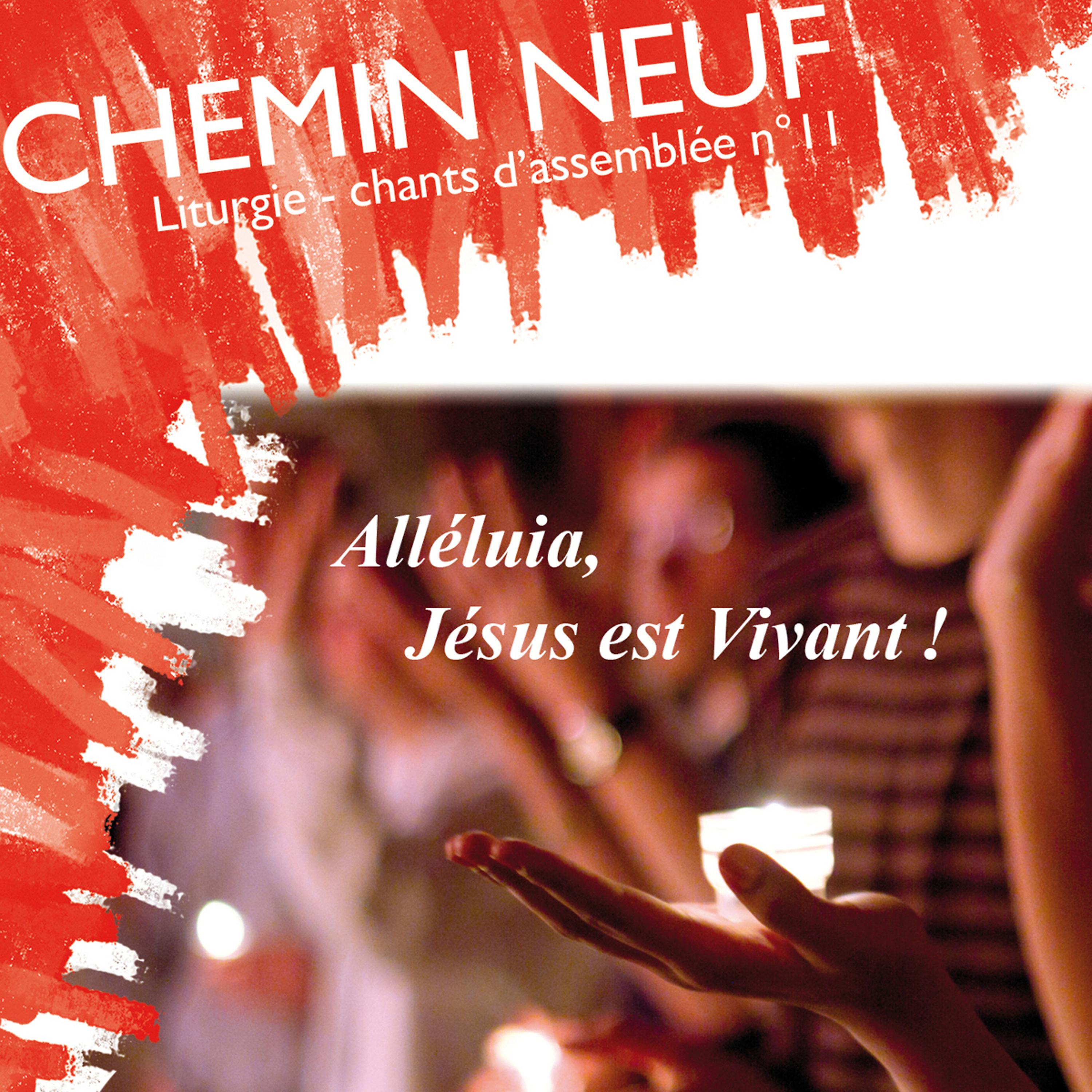 Постер альбома Chants d'assemblée, Vol. 11: Liturgie (Alléluia, Jésus est vivant !)