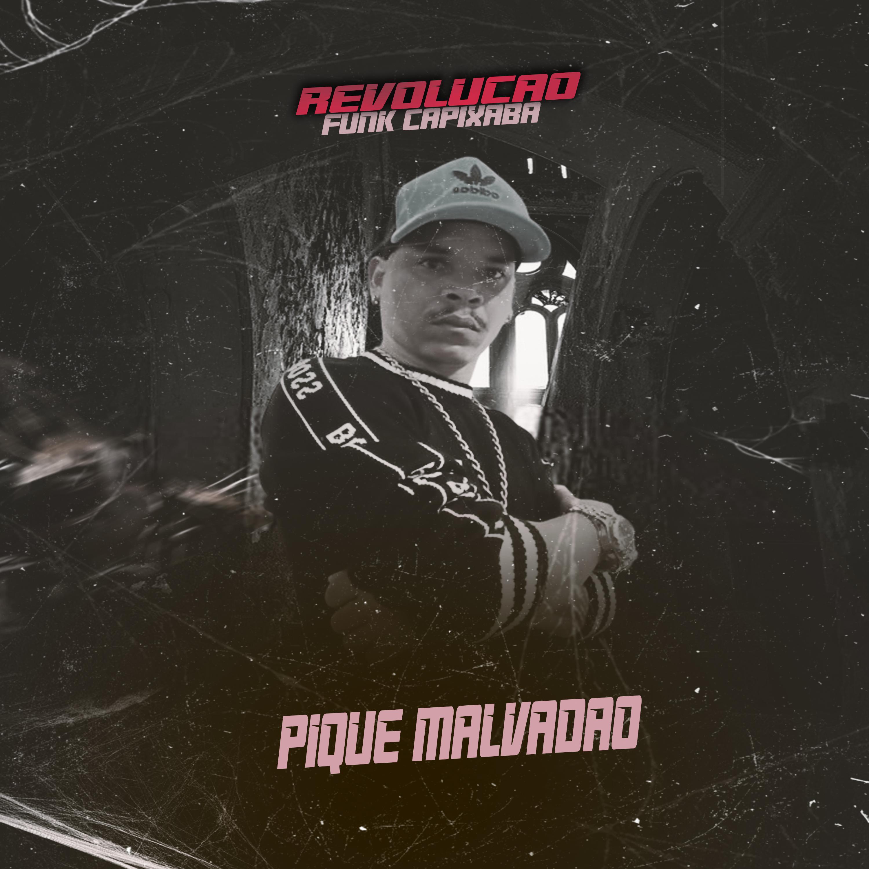 Постер альбома Pique Malvadao