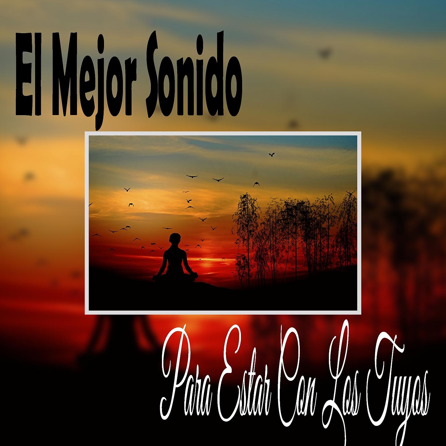 Постер альбома El Mejor Sonido para Estar Con los Tuyos