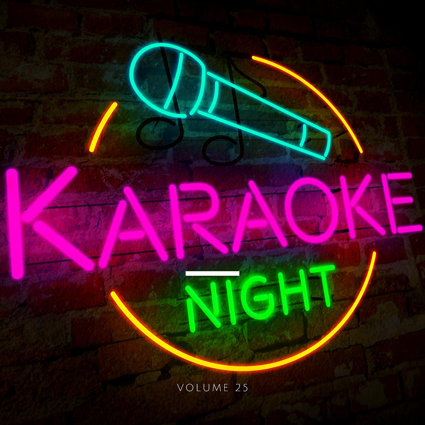 Постер альбома Karaoke Night, Vol. 25