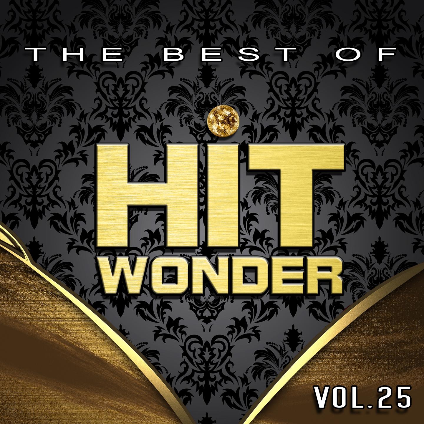 Постер альбома Hit Wonder: The Best Of, Vol. 25