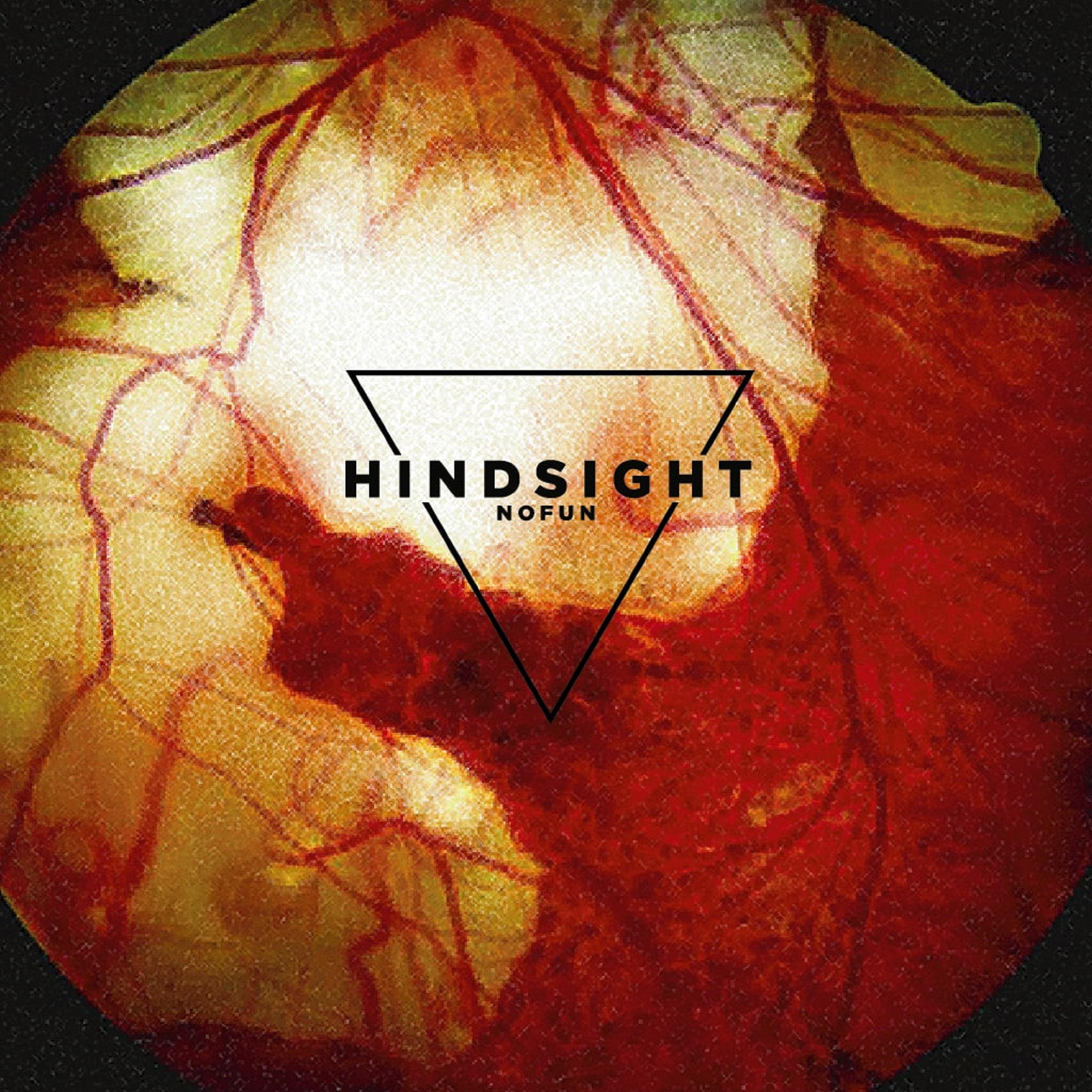 Постер альбома Hindsight