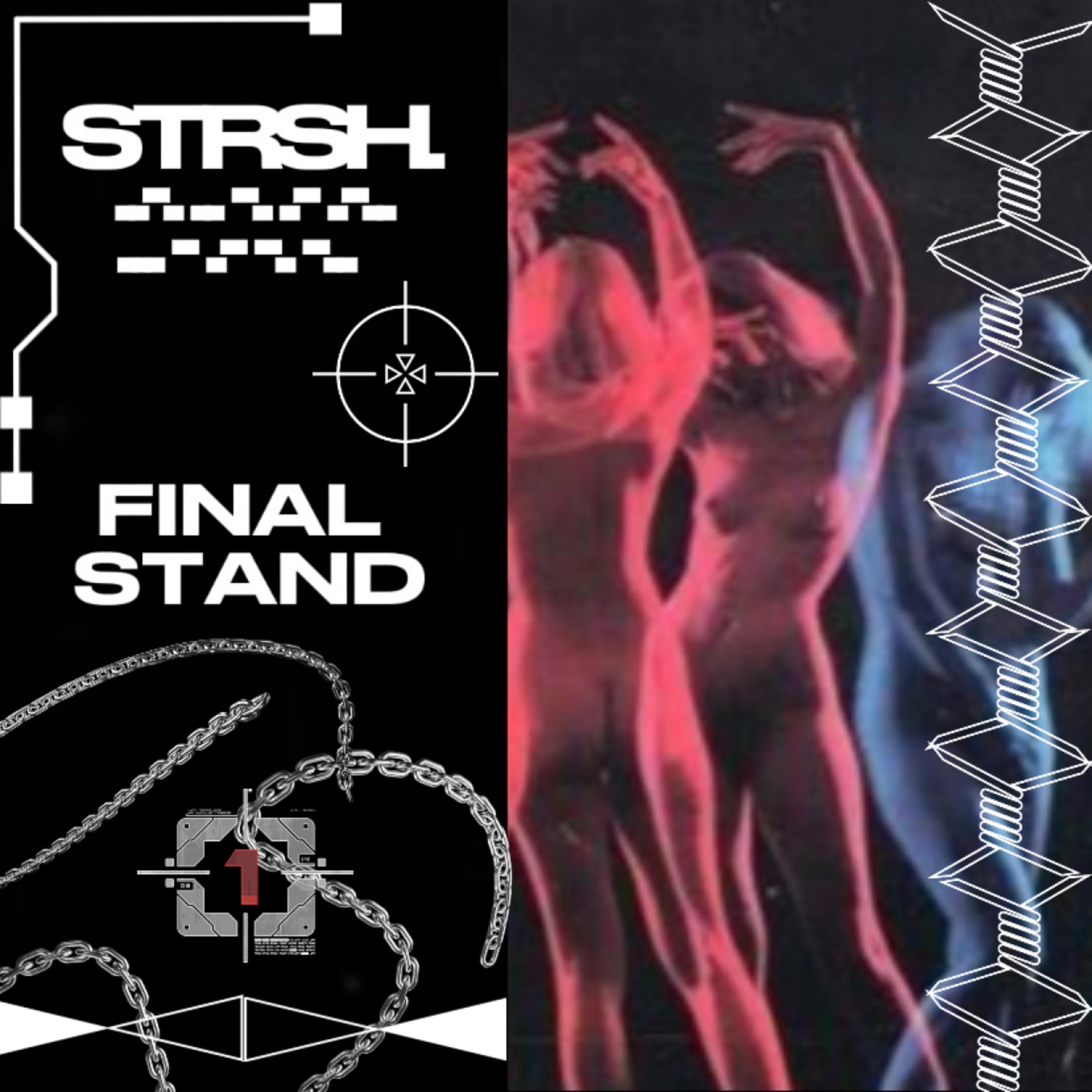 Постер альбома Final Stand