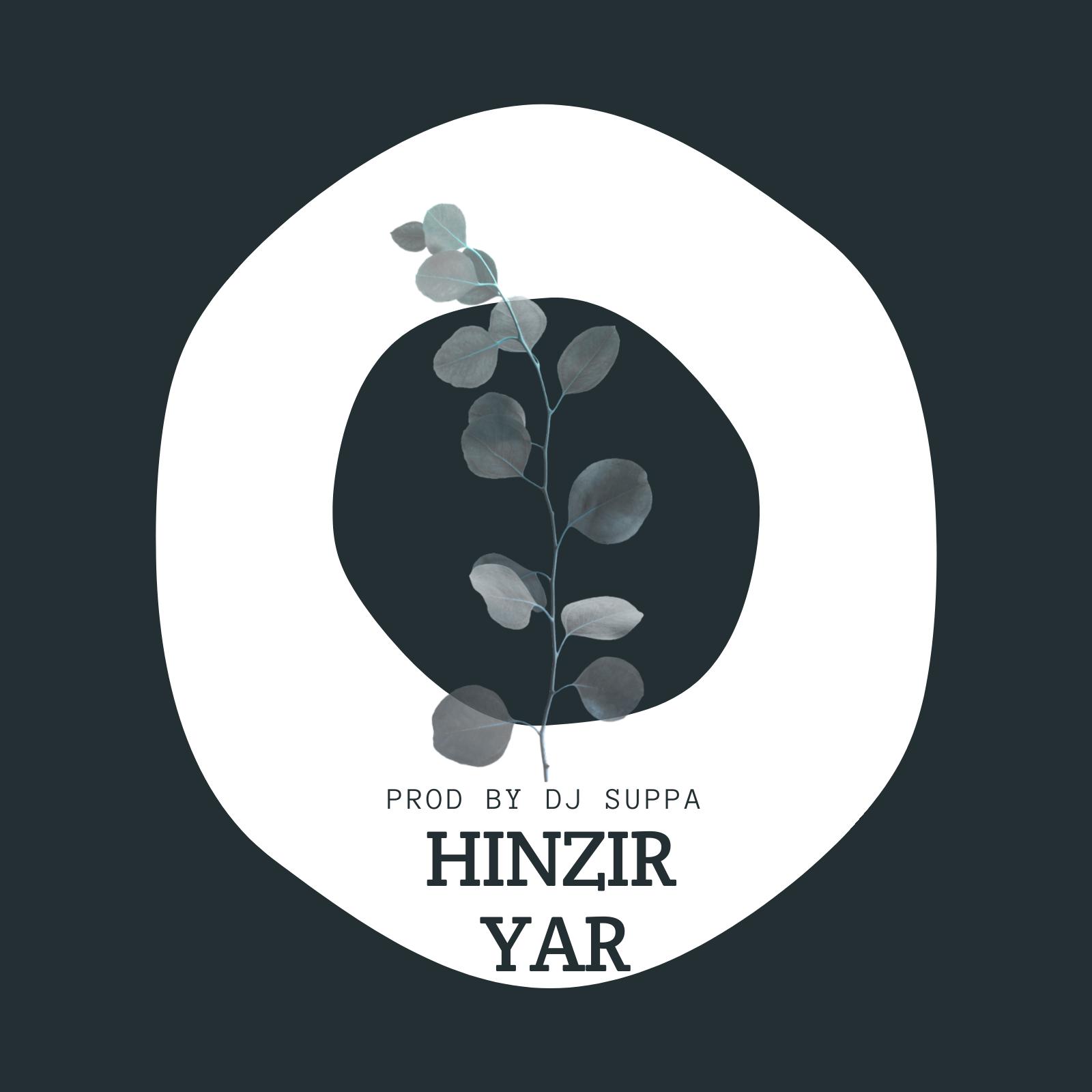 Постер альбома Hınzır Yar