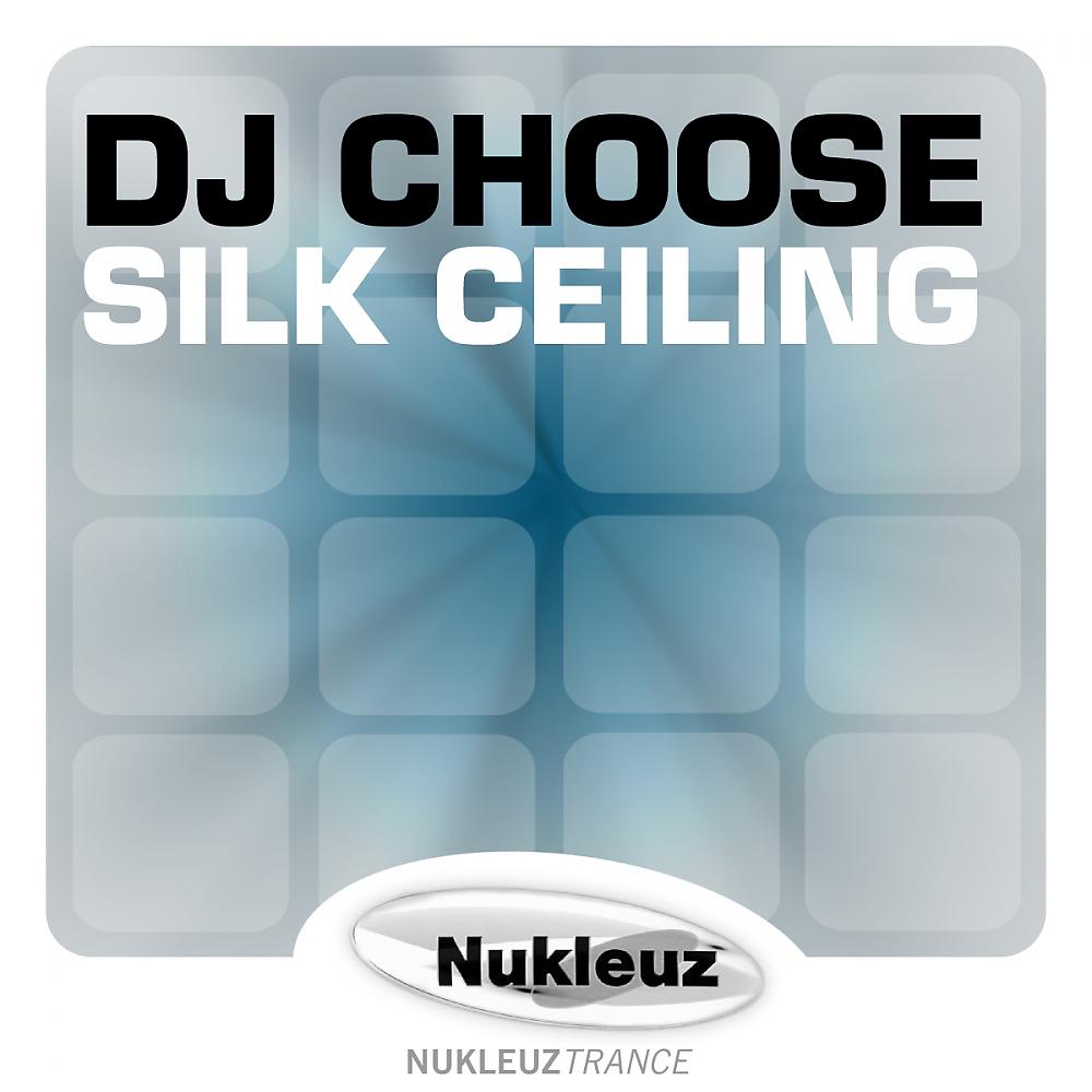 Постер альбома Silk Ceiling