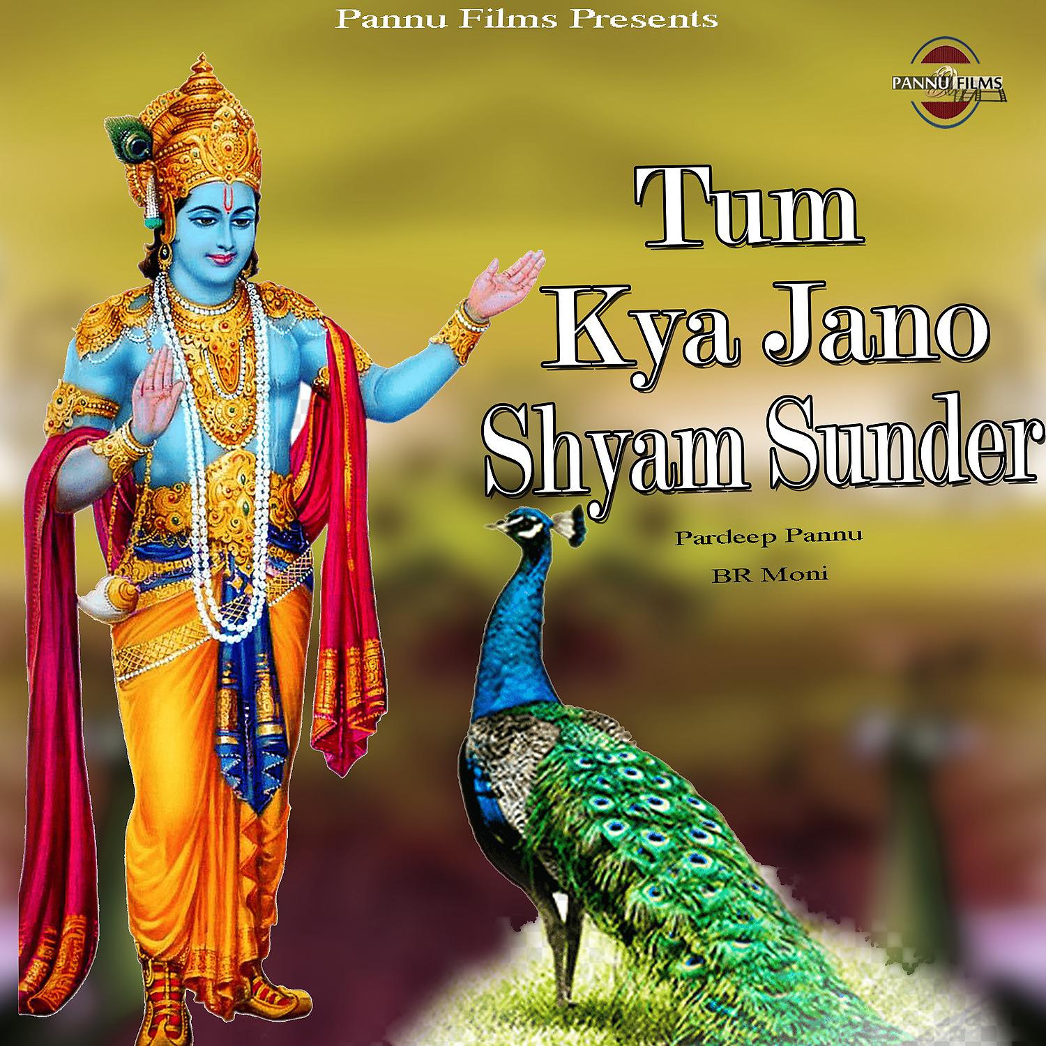 Постер альбома Tum Kya Jano Shyam Sunder