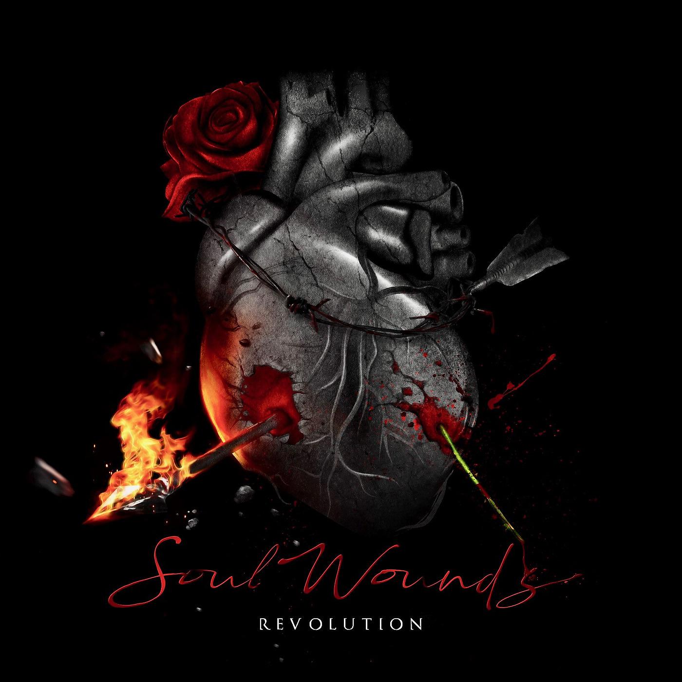Постер альбома Soul Wounds