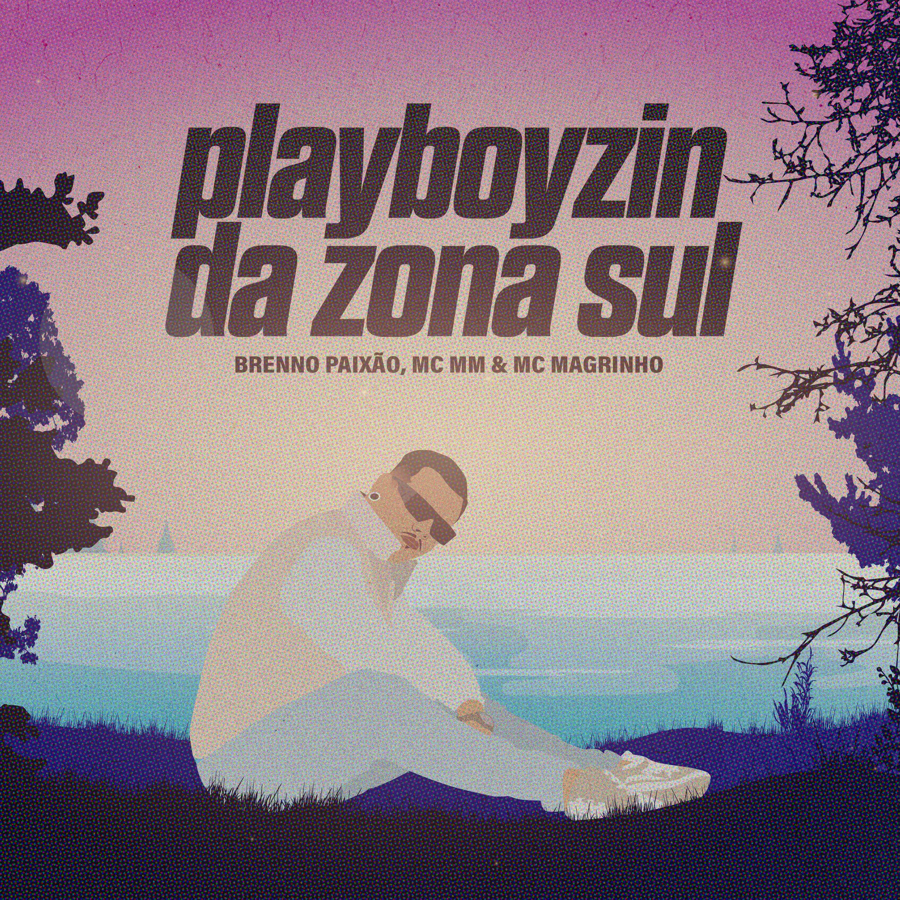 Постер альбома Playboyzin da Zona Sul