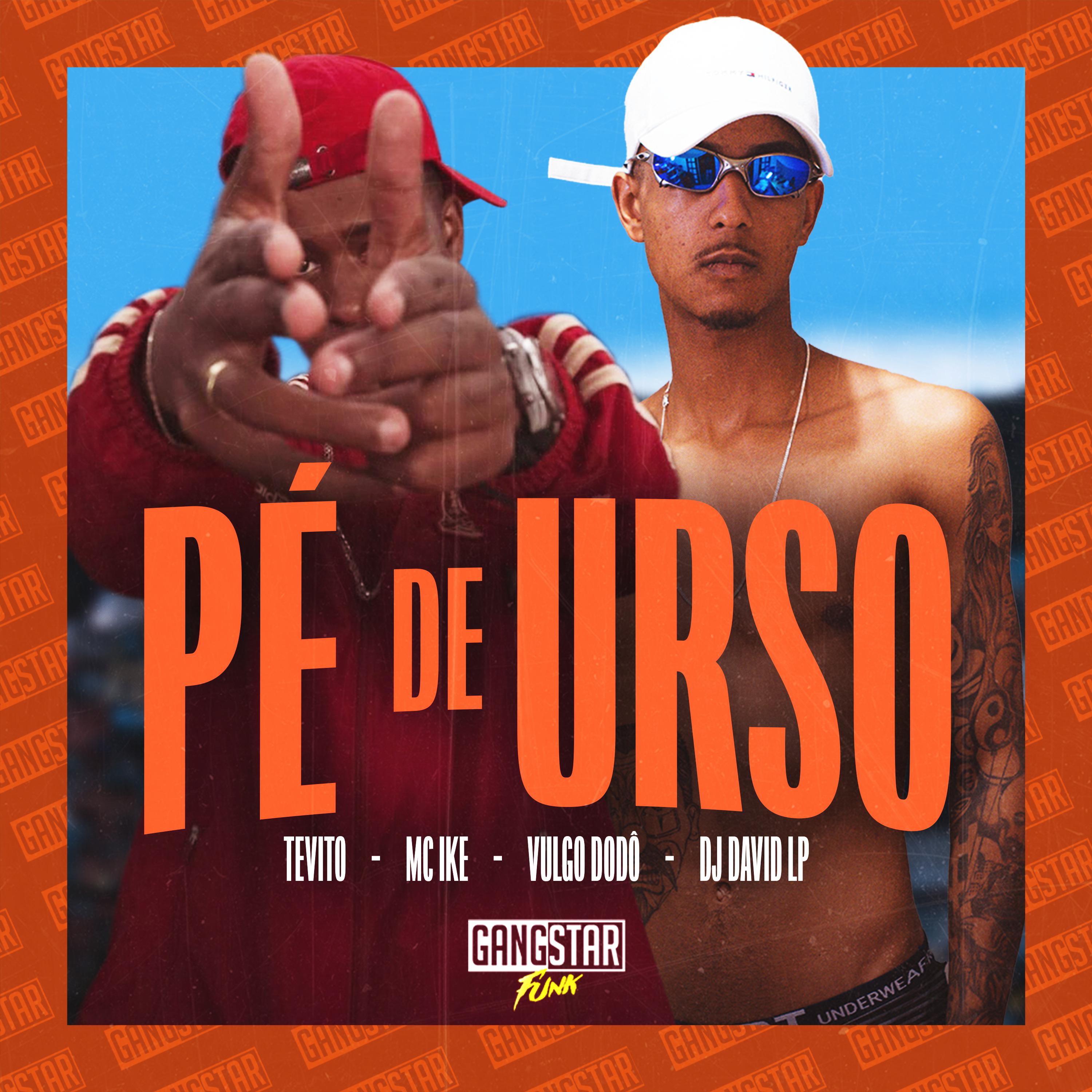 Постер альбома Pé de Urso