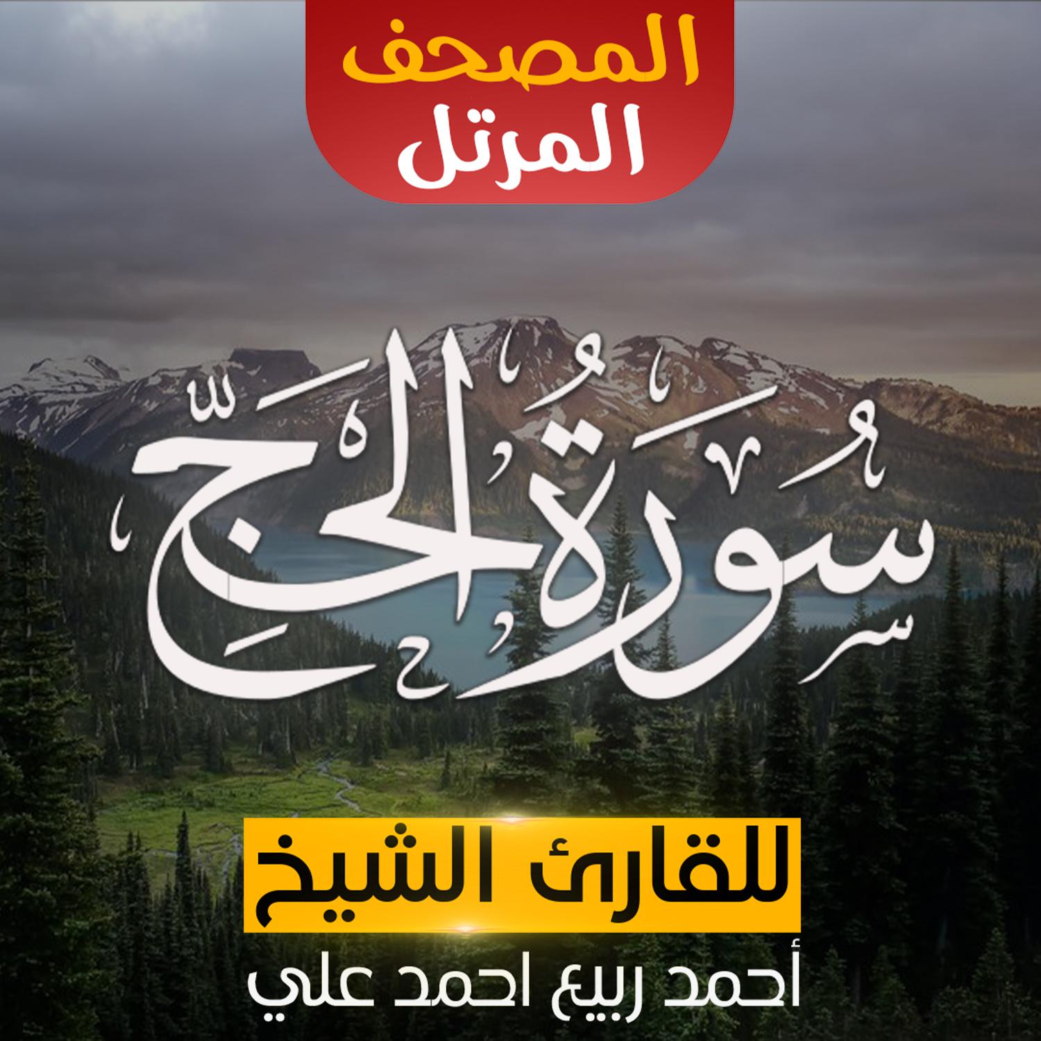 Постер альбома سورة الحج